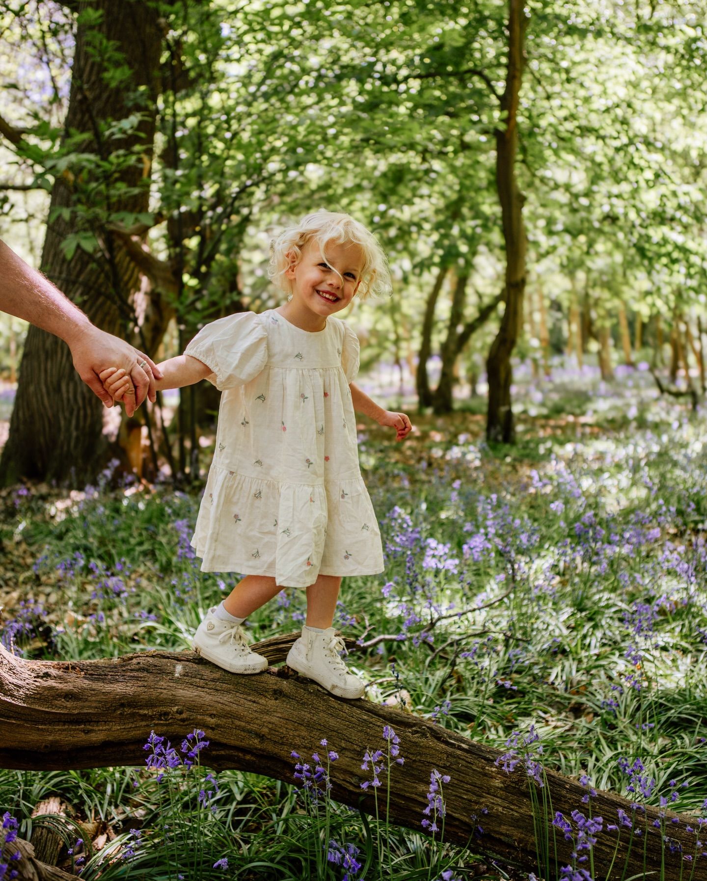 A small child in a white dress balances on a fallen log surrounded by blooming bluebells in Hertfordshire