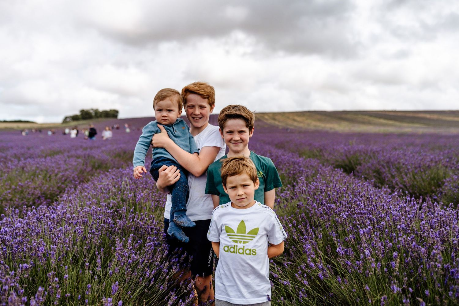 Family of four posing in a vibrant purple lavender field under cloudy skies, with two adults holding young children.