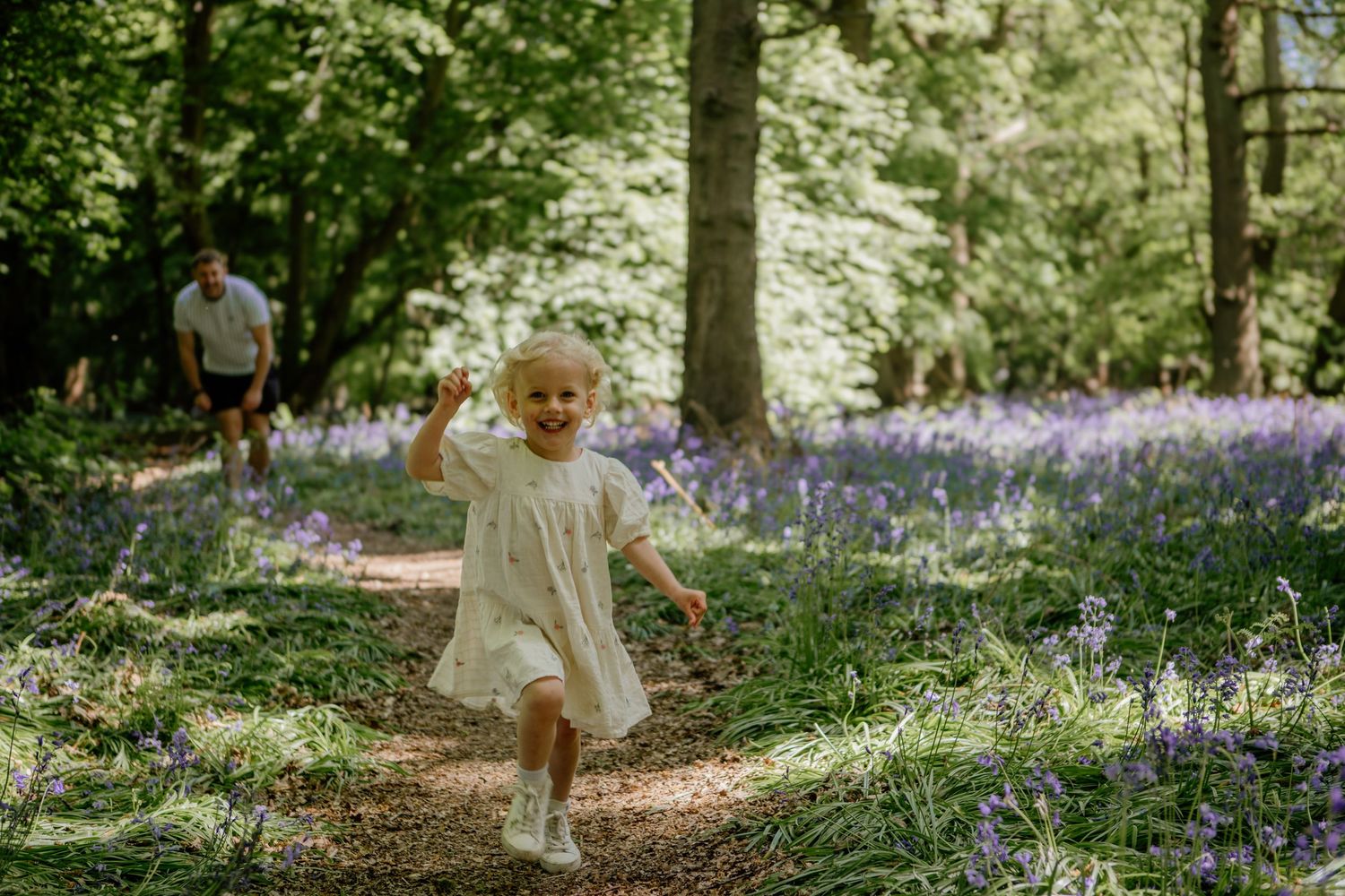 A path winds through a serene woodland filled with blooming purple bluebells in dappled sunlight in Hertfordshire.