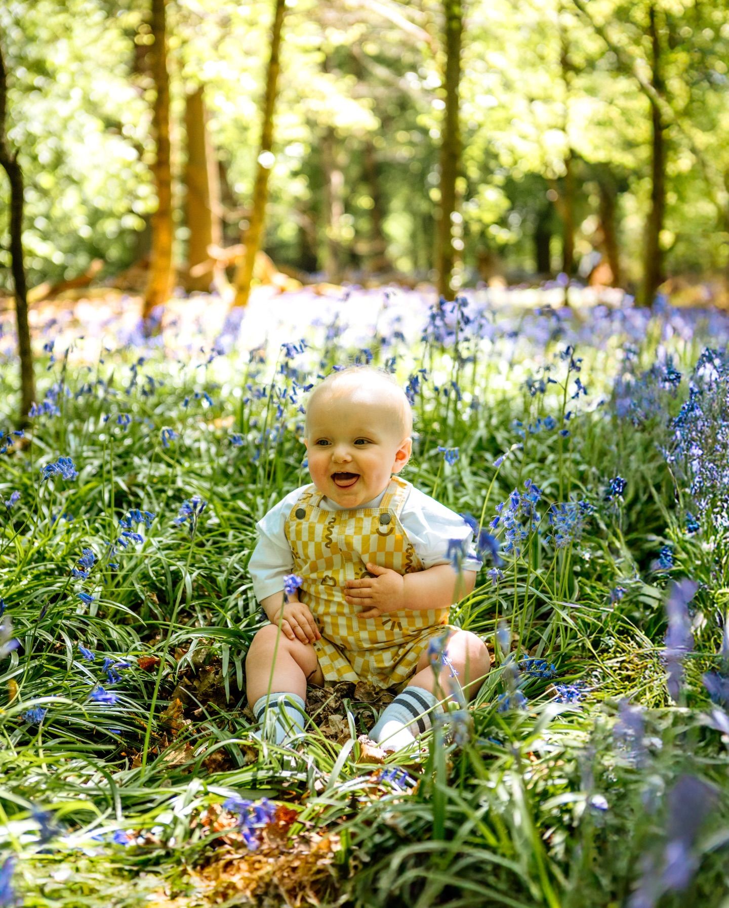 A baby sits amongst the bluebells in Hertfordshire