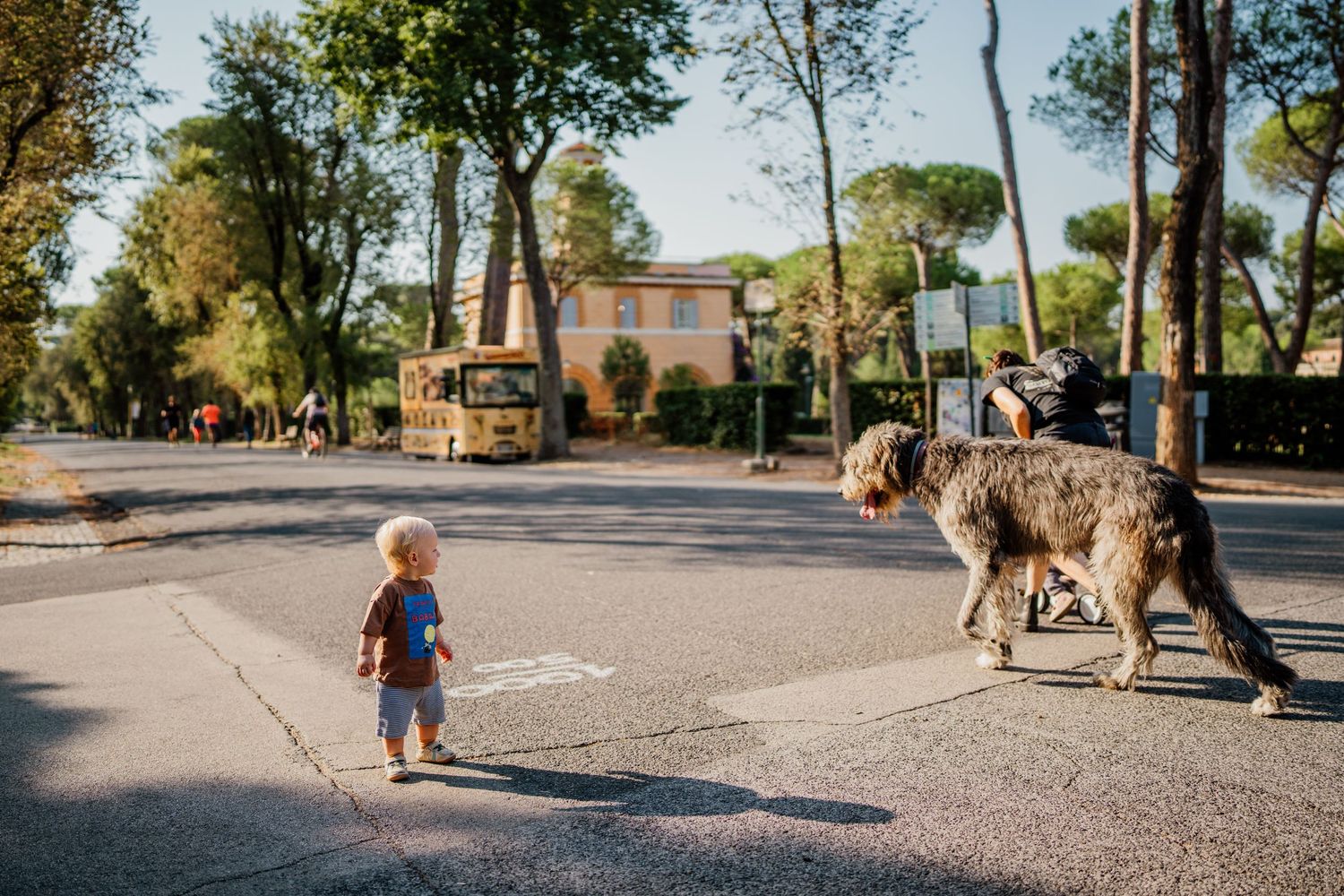 A sequence of six images showing a dog and person walking in a park on a sunny autumn day.