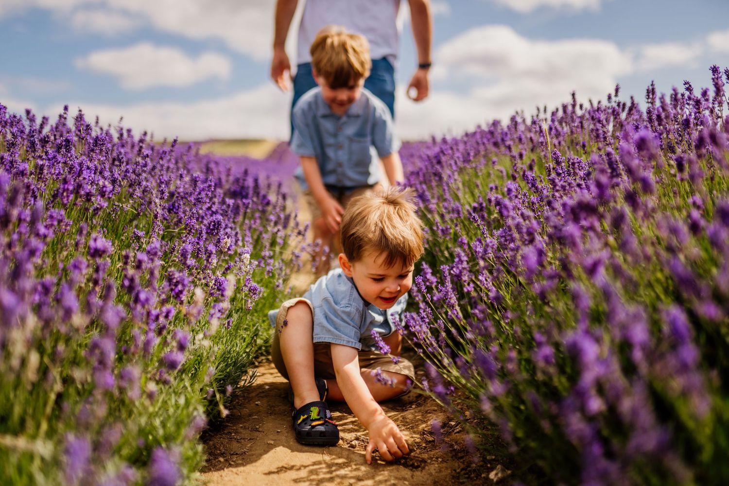 Two children playing in a vibrant purple lavender field on a sunny day, with an adult watching nearby.