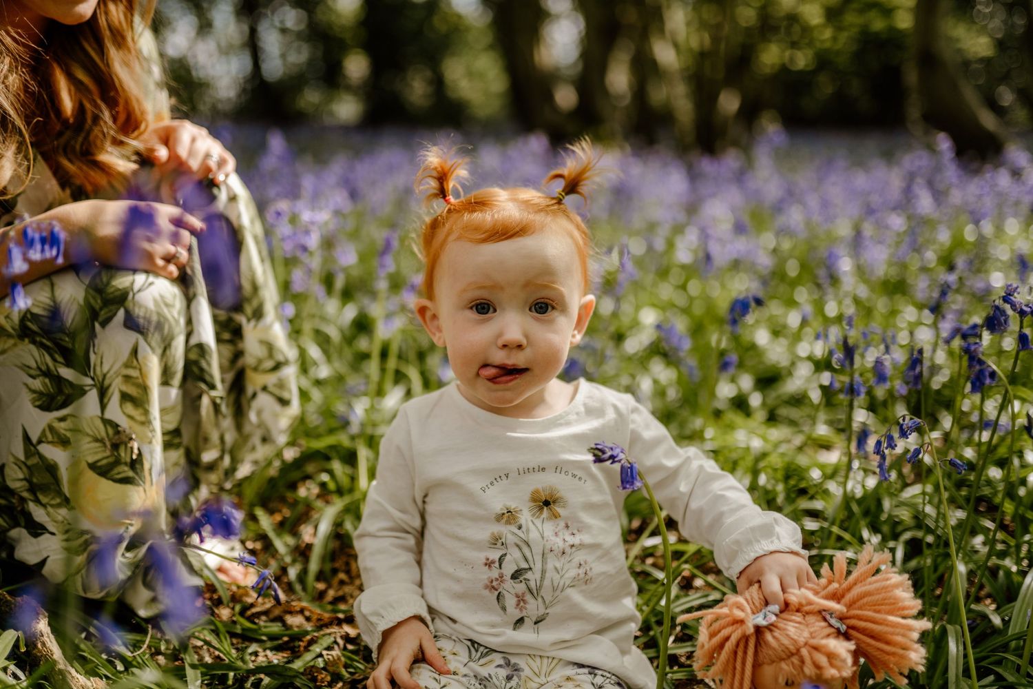 A springtime scene in a bluebell forest with soft natural lighting filtering through the trees  in Hertfordshire