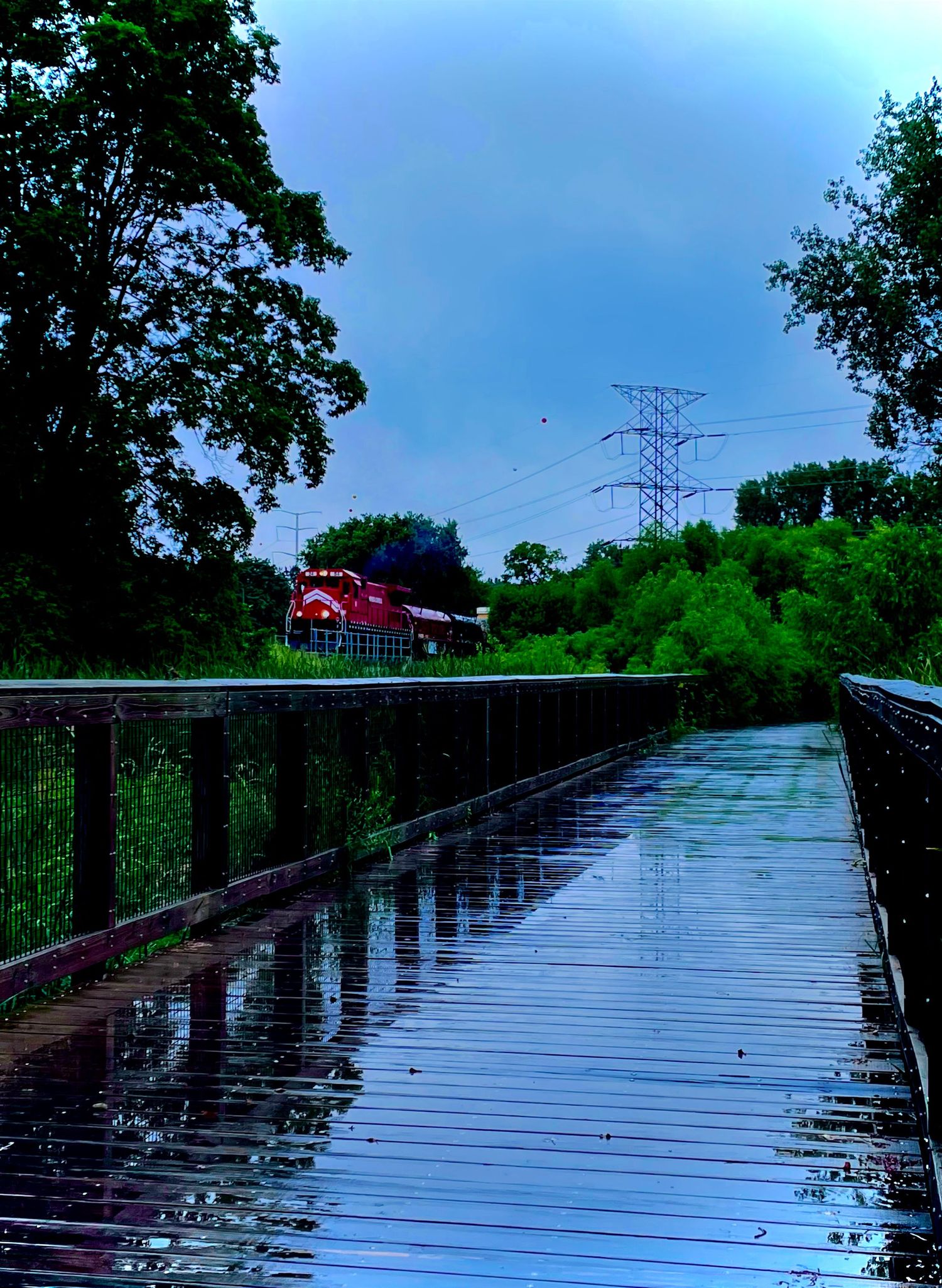 Wet wooden boardwalk with train on a bridge path stretching into the distance with power lines visible against a blue sky.