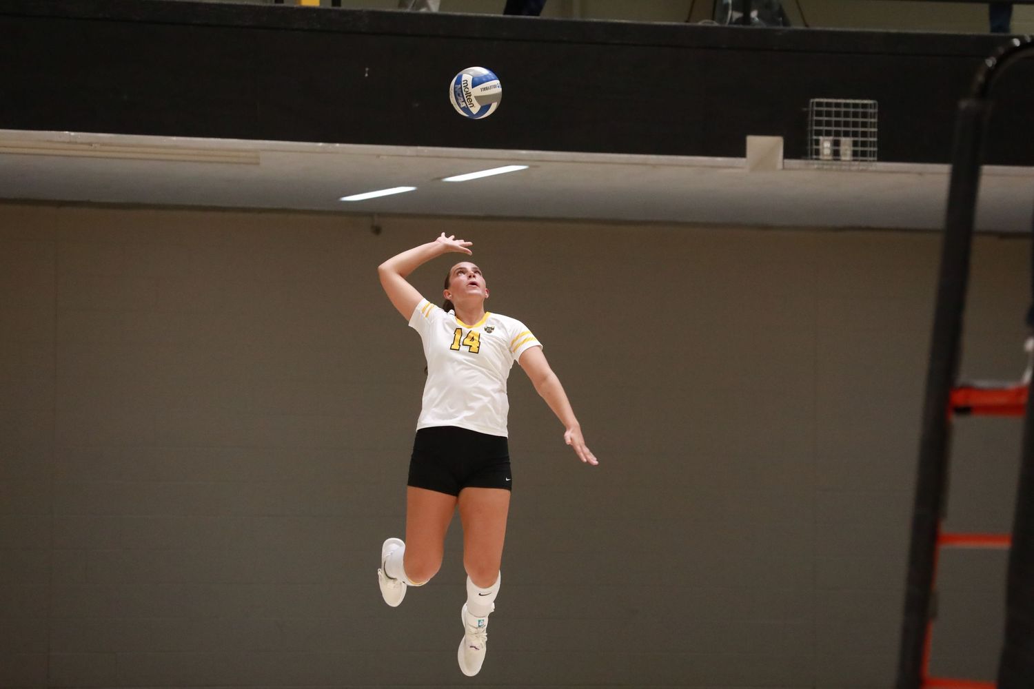 Volleyball player jumps to serve the ball in indoor gymnasium.