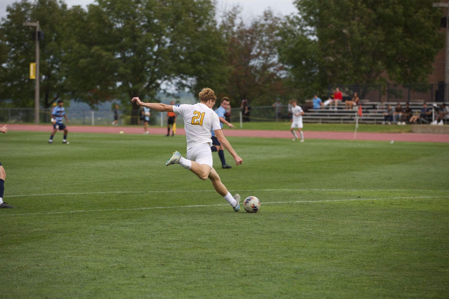 Soccer players practice on a green field with trees visible in the background.