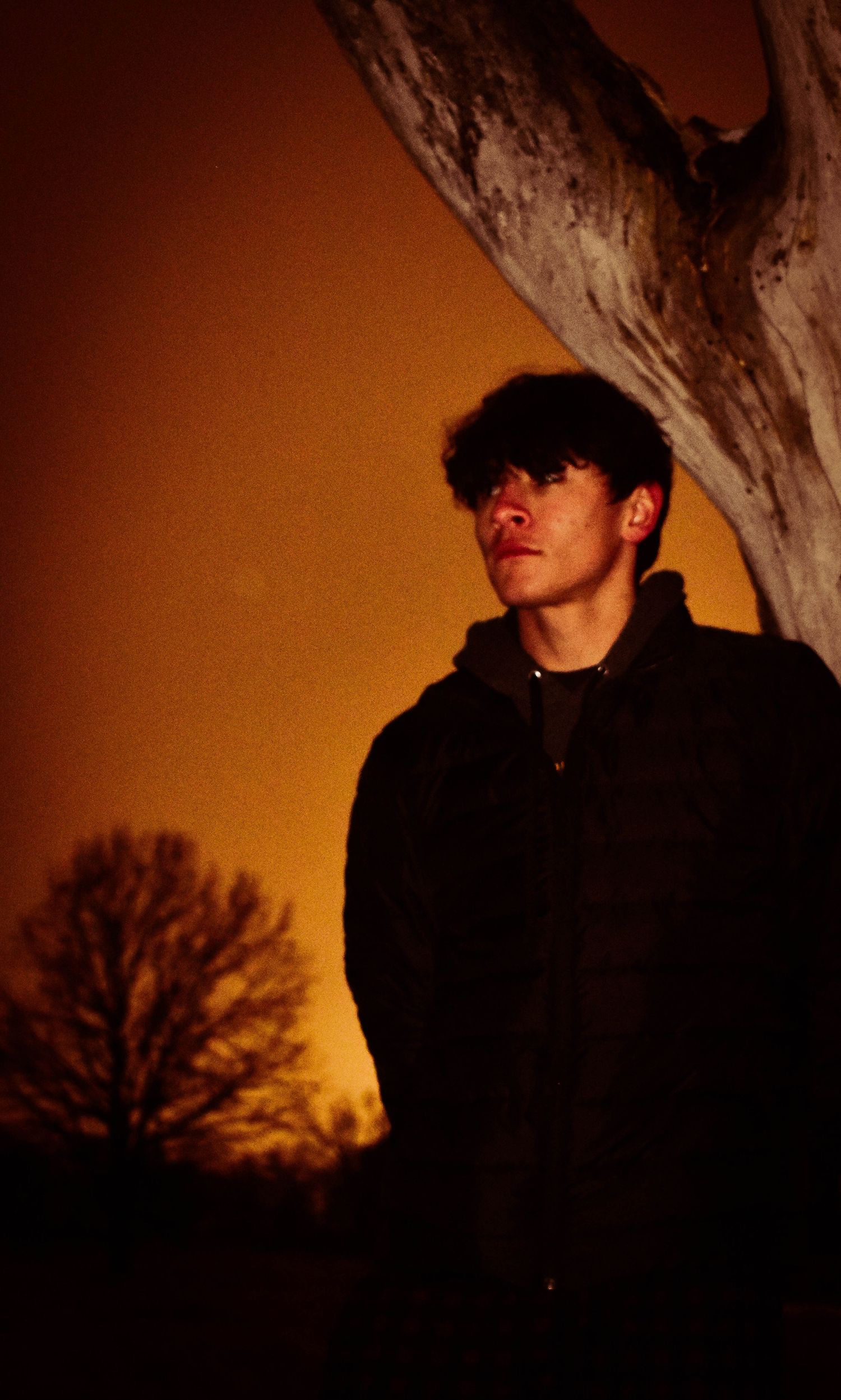 Silhouetted figure against an orange sunset with trees in the background.