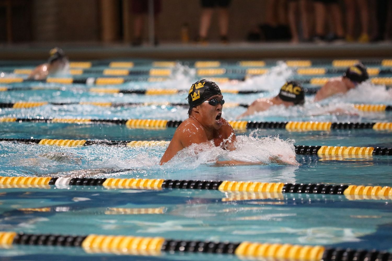 Swimmers race in multiple lanes during a competitive swimming meet.
