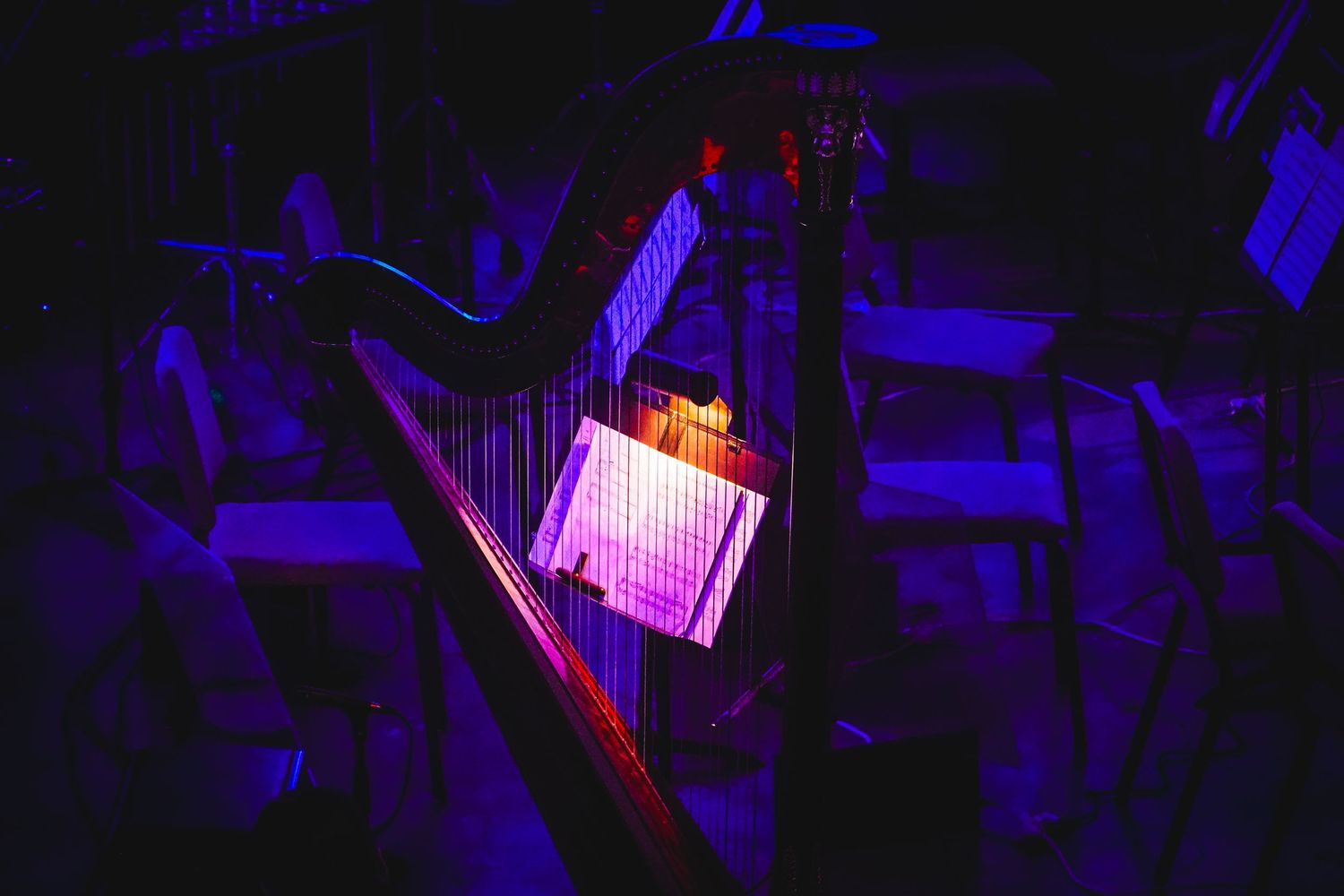Concert venue illuminated with purple and blue stage lighting.
