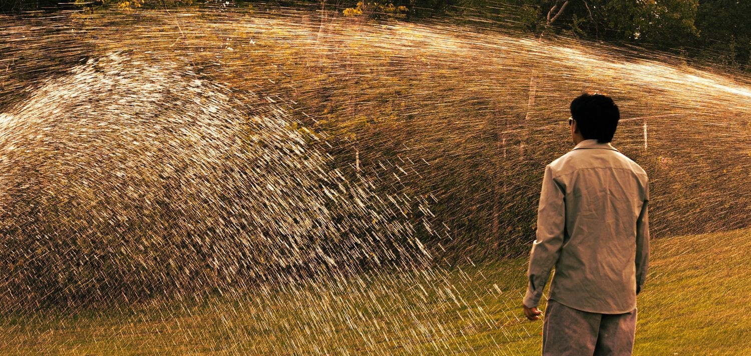 Golden sunlight streaming across a grassy hillside landscape with sprinklers.