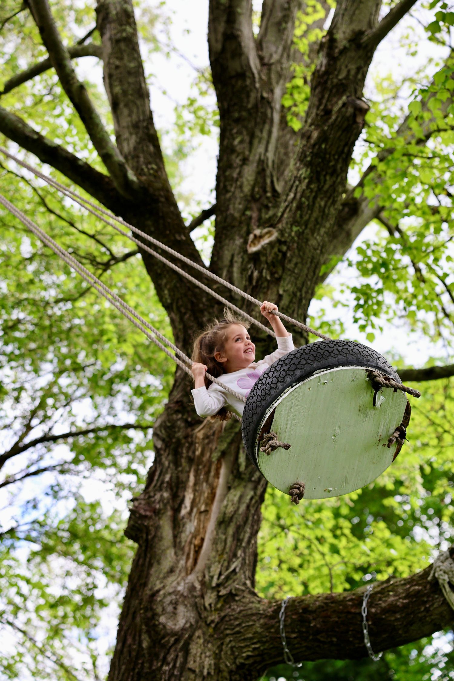 5 year old child swings on a tire swing in Massachusetts.
