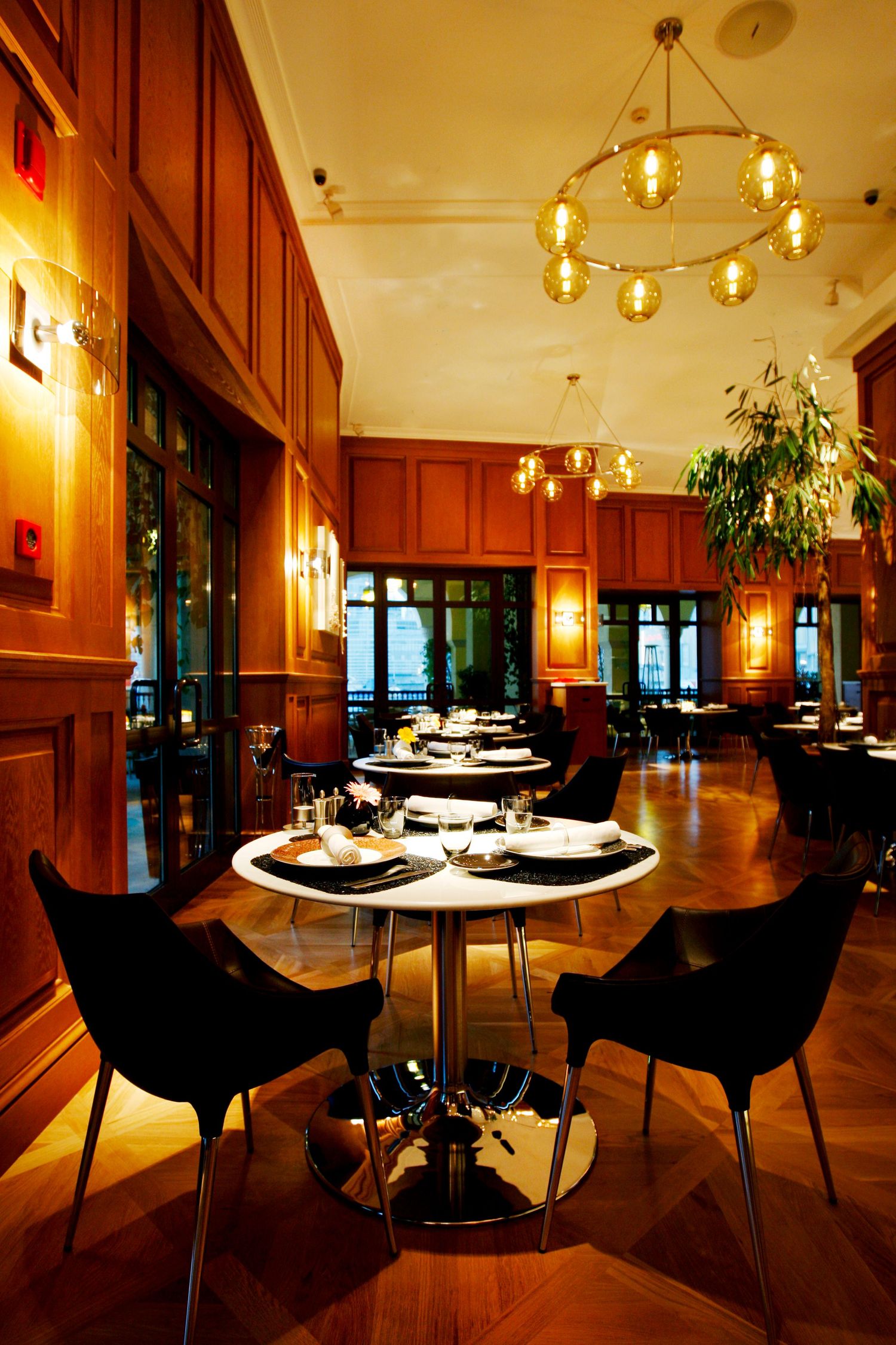 Elegant restaurant interior with modern chairs and warm ambient lighting. Commercial Interiors Photographer in Guelph Ontario