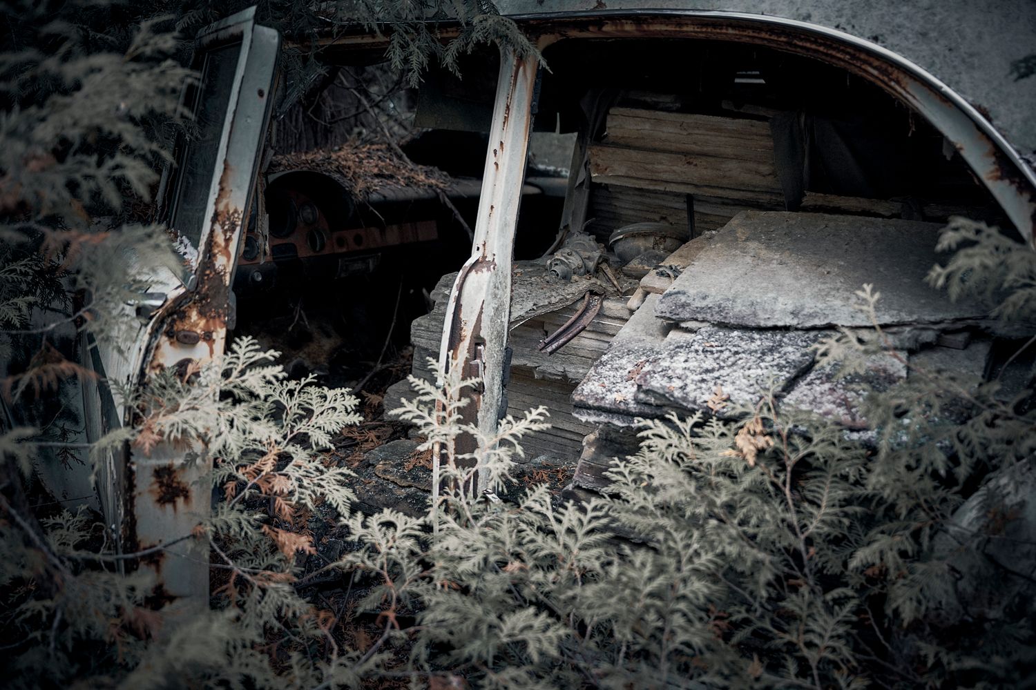 Decaying vintage automobile parts surrounded by overgrown vegetation in dark setting. Commercial Photographer in Guelph and surrounding area