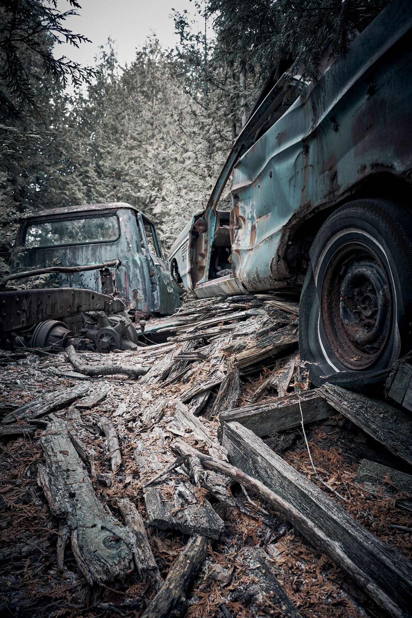 Abandoned vintage cars deteriorating in a forest with rusted metal and rotting wood debris. Commercial Photographer in Guelph and surroundin