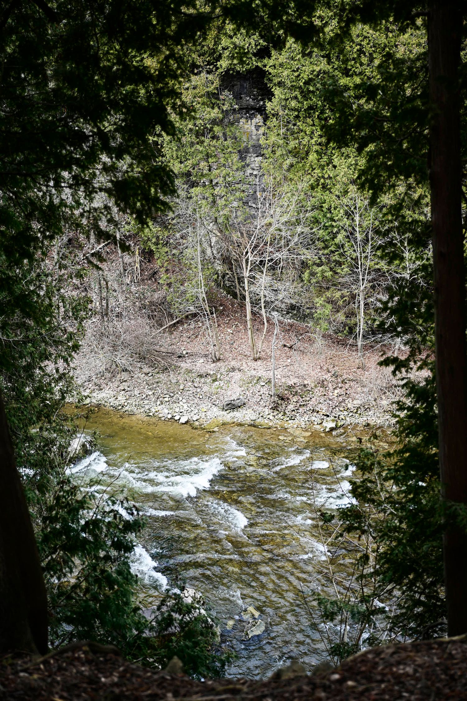 Scenic forest stream with rushing water viewed through trees and foliage.