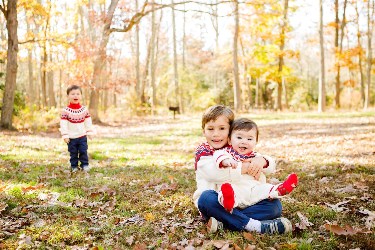Three young children in matching sweaters playing in sunny autumn woodland setting.