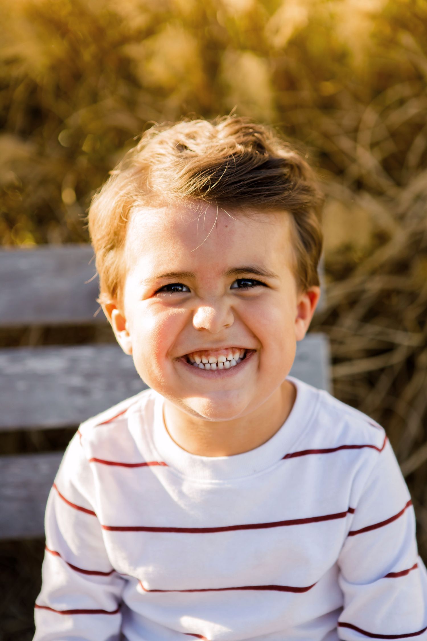 Adorable young boy with a big smile sitting on a bench outdoors in warm golden sunlight.