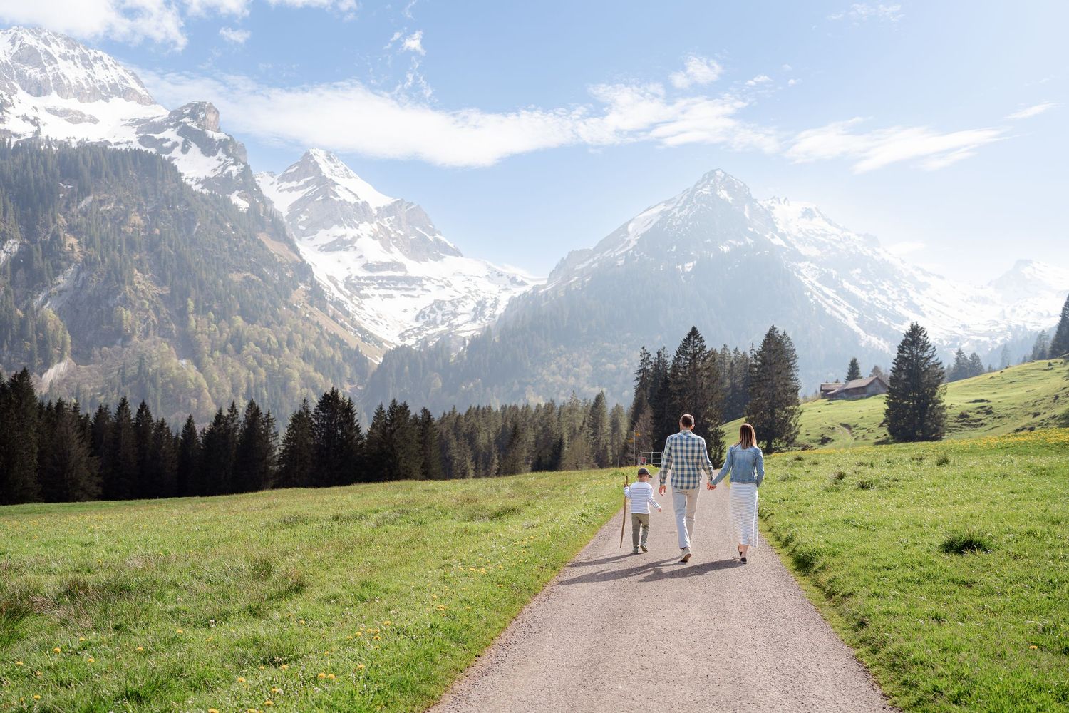 A scenic mountain trail leads through green meadows towards snow-covered Alpine peaks.