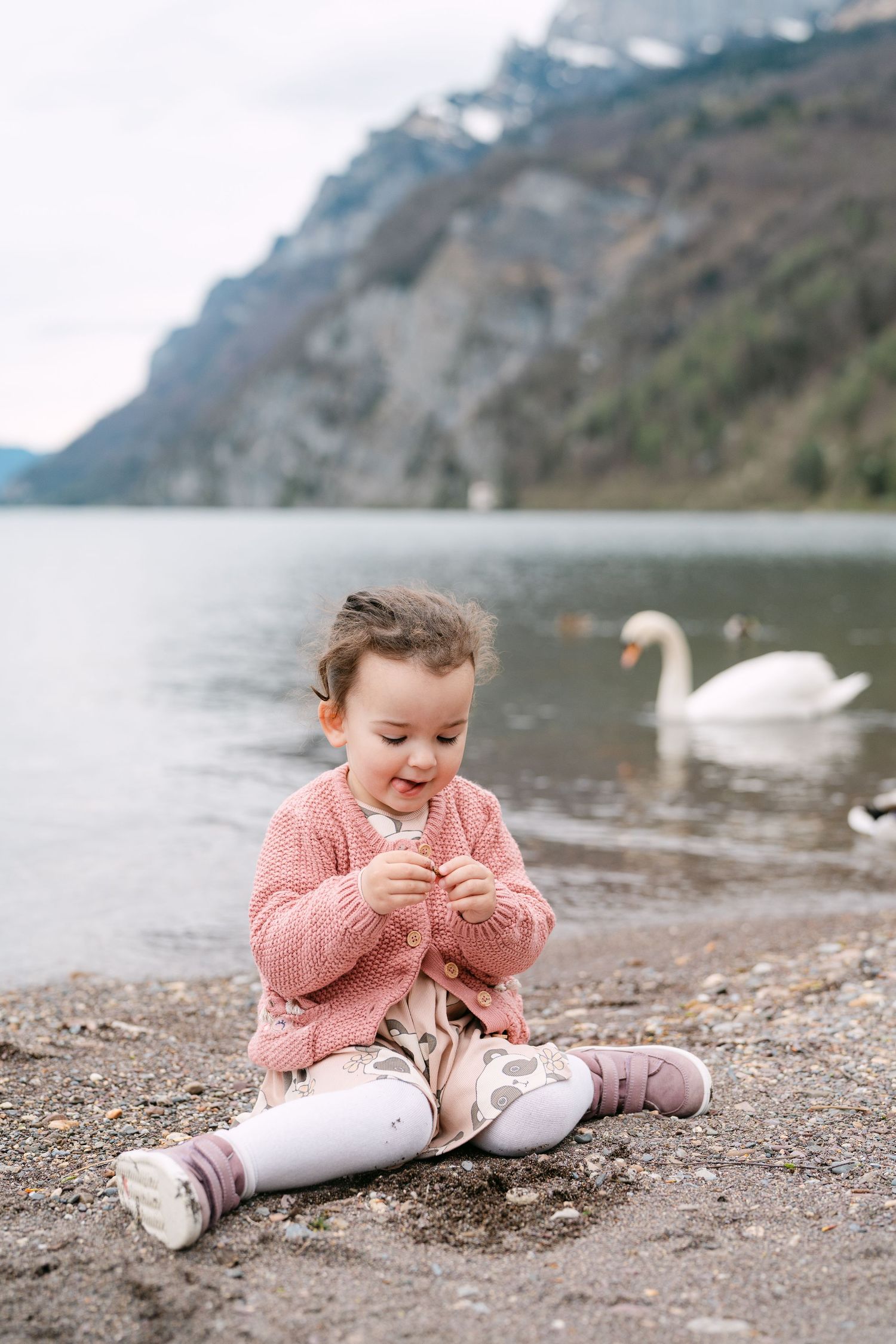 A baby in a pink sweater sits on a rocky beach with a swan visible in the background.