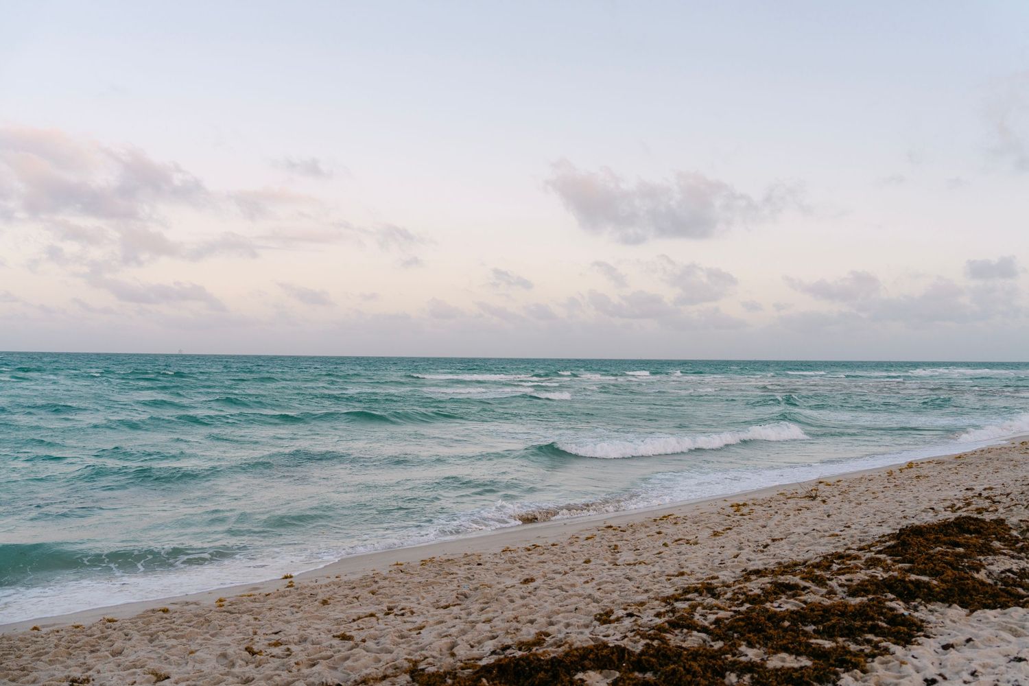 Scenic beach landscape with waves crashing and seaweed washed up on shore.