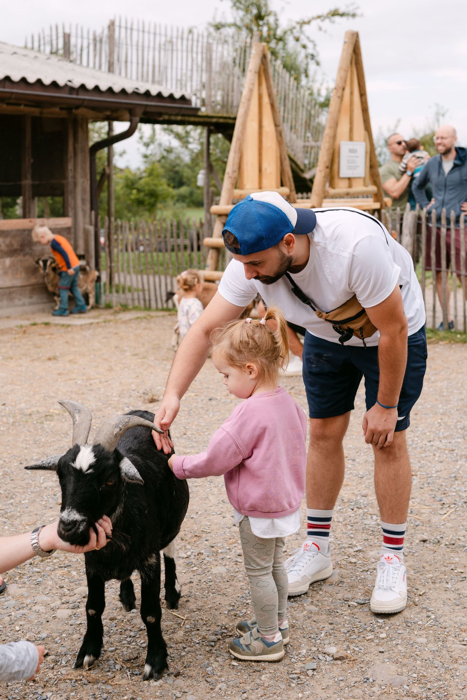 Family interacting with black goats at a farm enclosure.