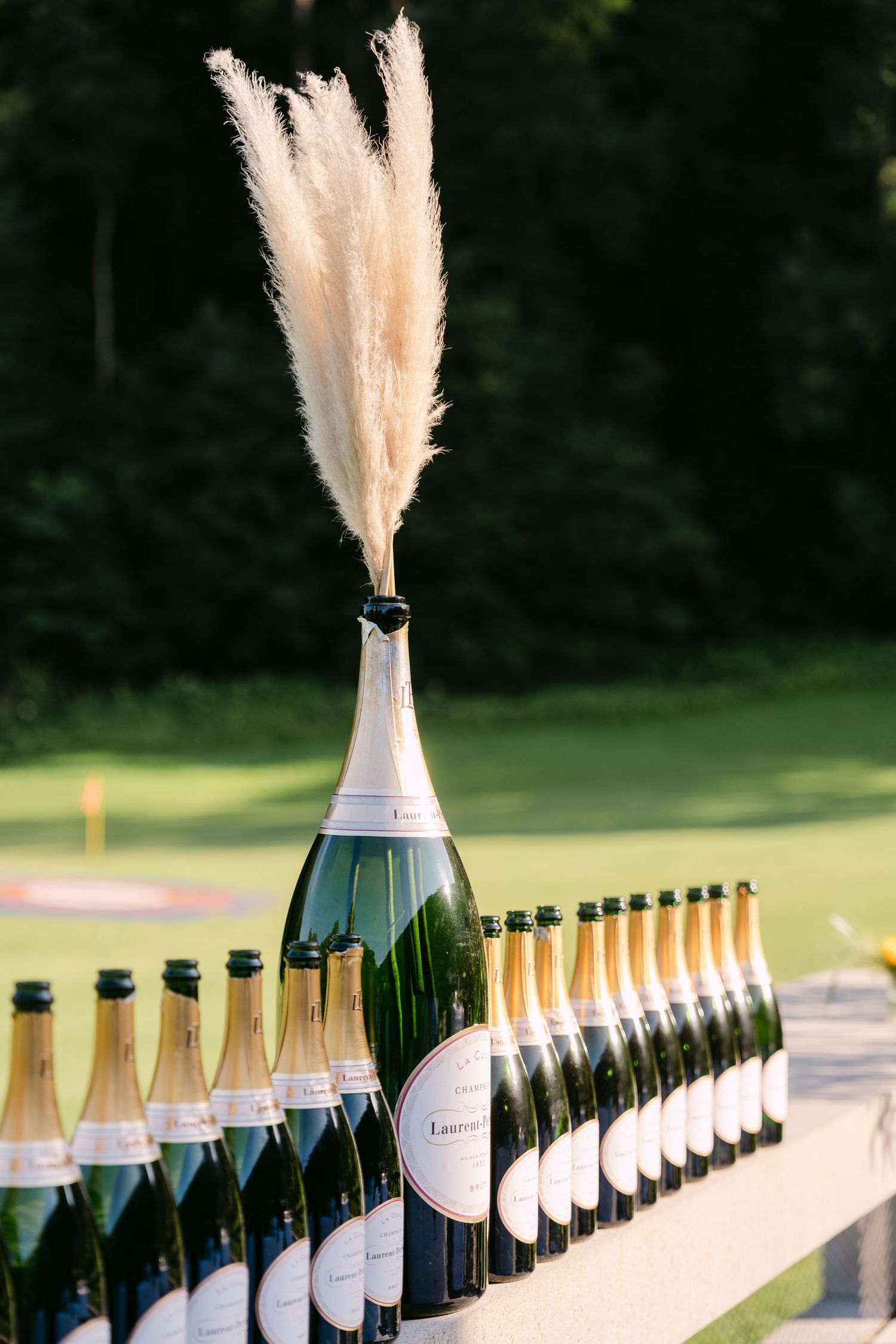 Line of champagne bottles with pampas grass decorations arranged on an outdoor table.