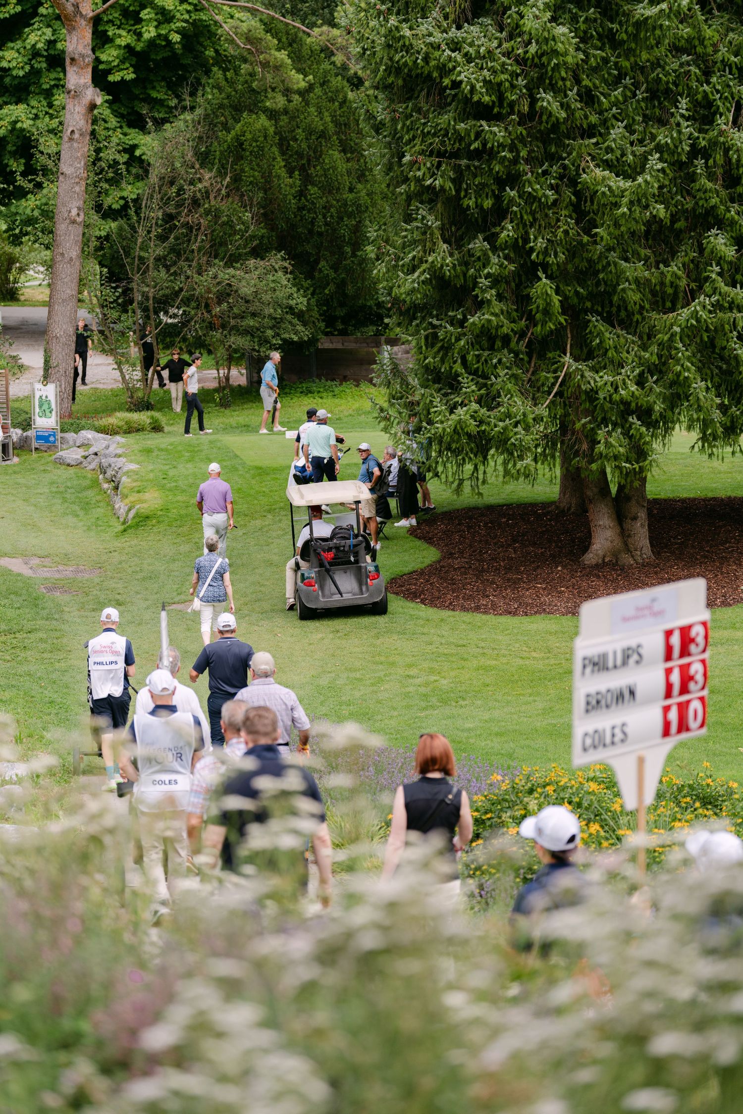 Outdoor event space with scattered guests and signage visible through foreground foliage.
