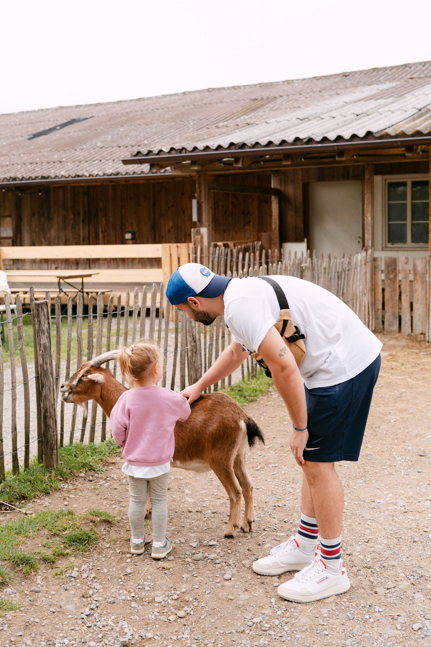 Family petting and feeding brown goats at a rustic farm.