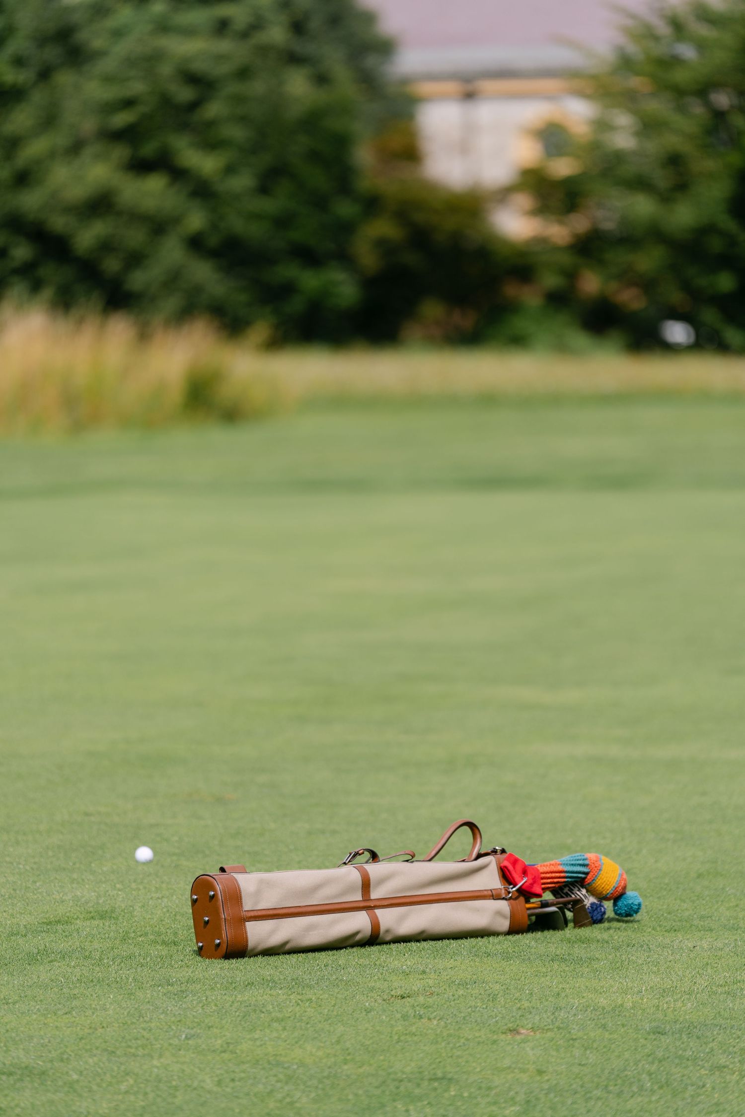 Croquet equipment including mallets and balls arranged on a green playing field.