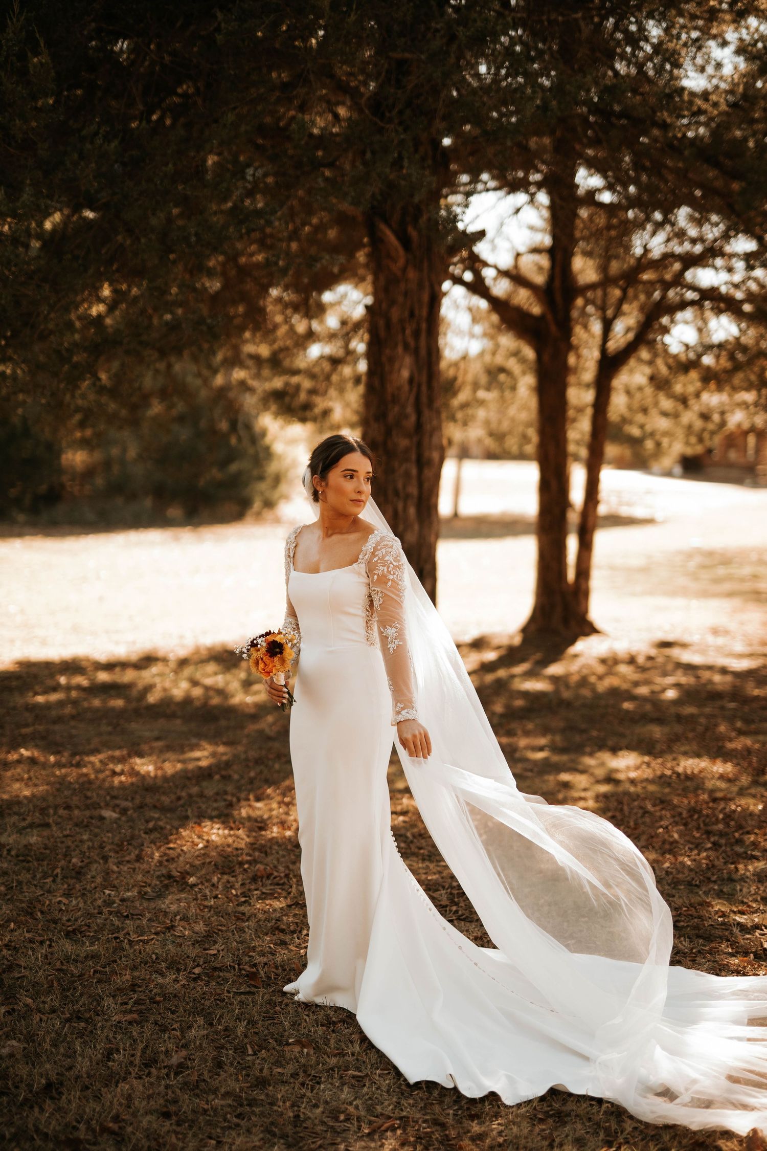 Bride in elegant long-sleeved gown with flowing veil poses in golden sunlight among trees.
