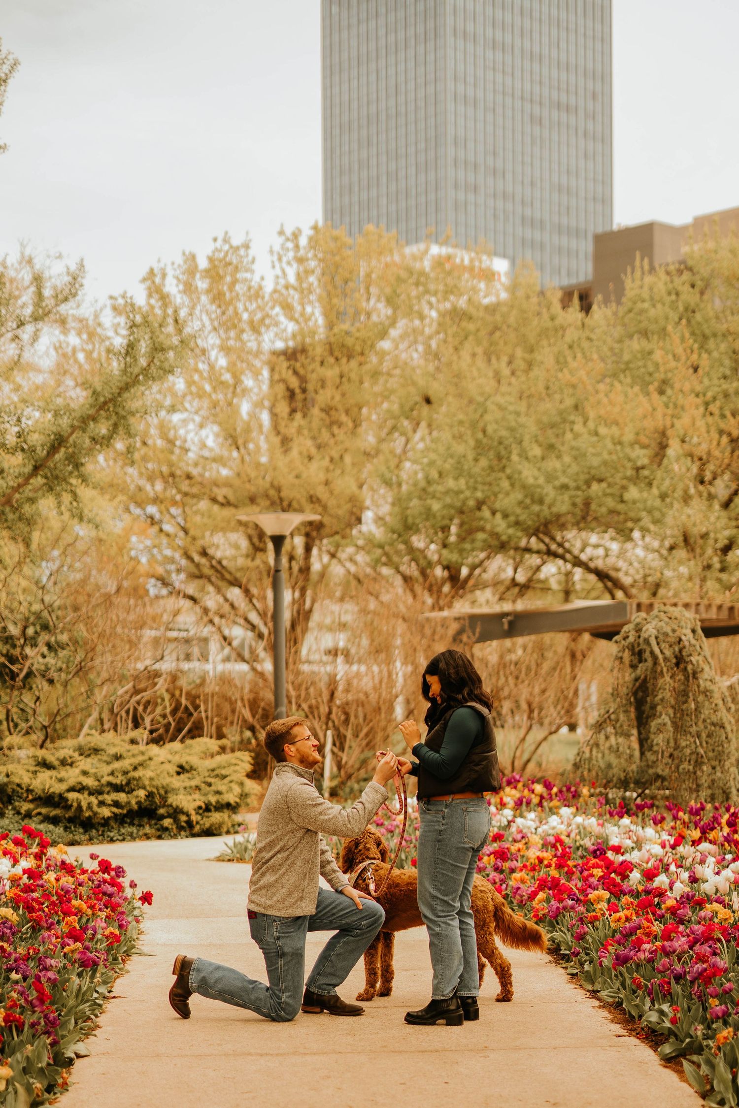 Surprise proposal moment captured in a garden with red tulips and city buildings in background.