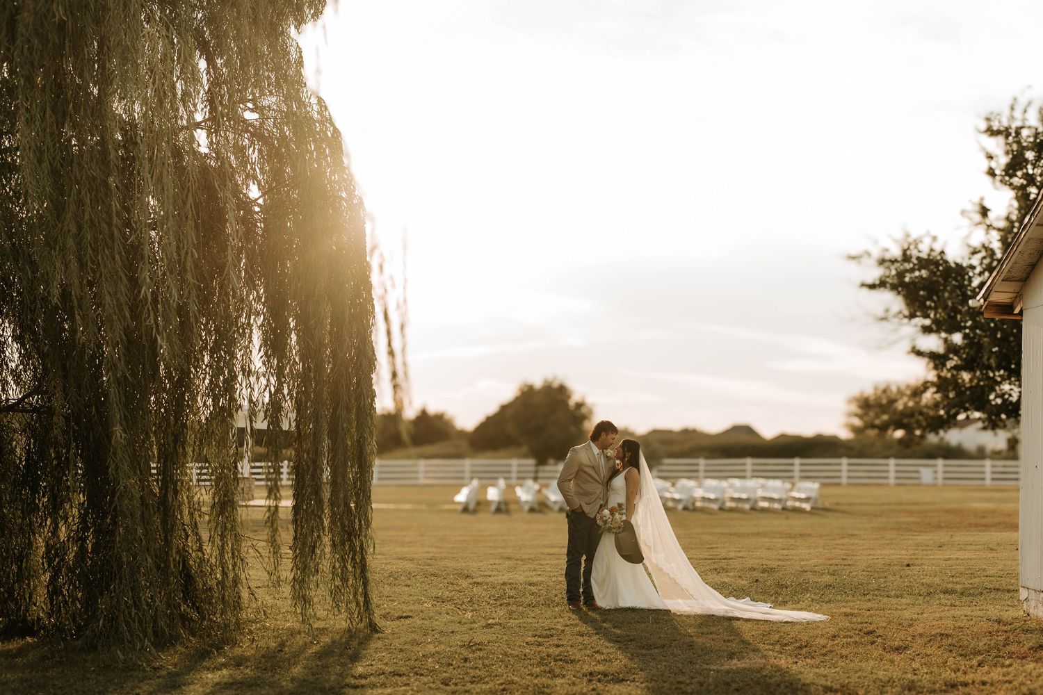 Bride and groom share a romantic kiss at golden hour beside a weeping willow tree on a lush green farm wedding venue.