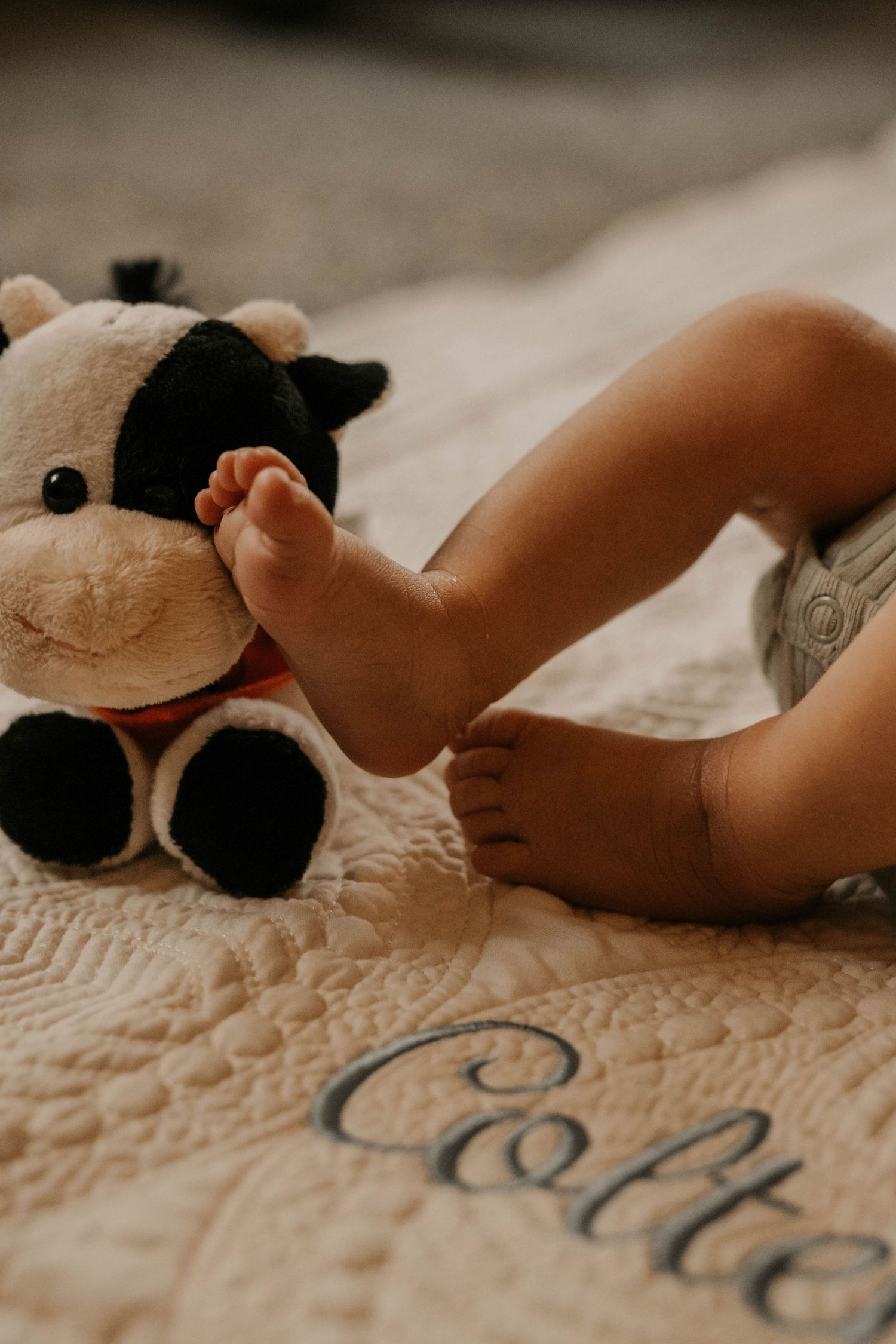 A small teddy bear rests on a textured beige surface creating a cozy scene.