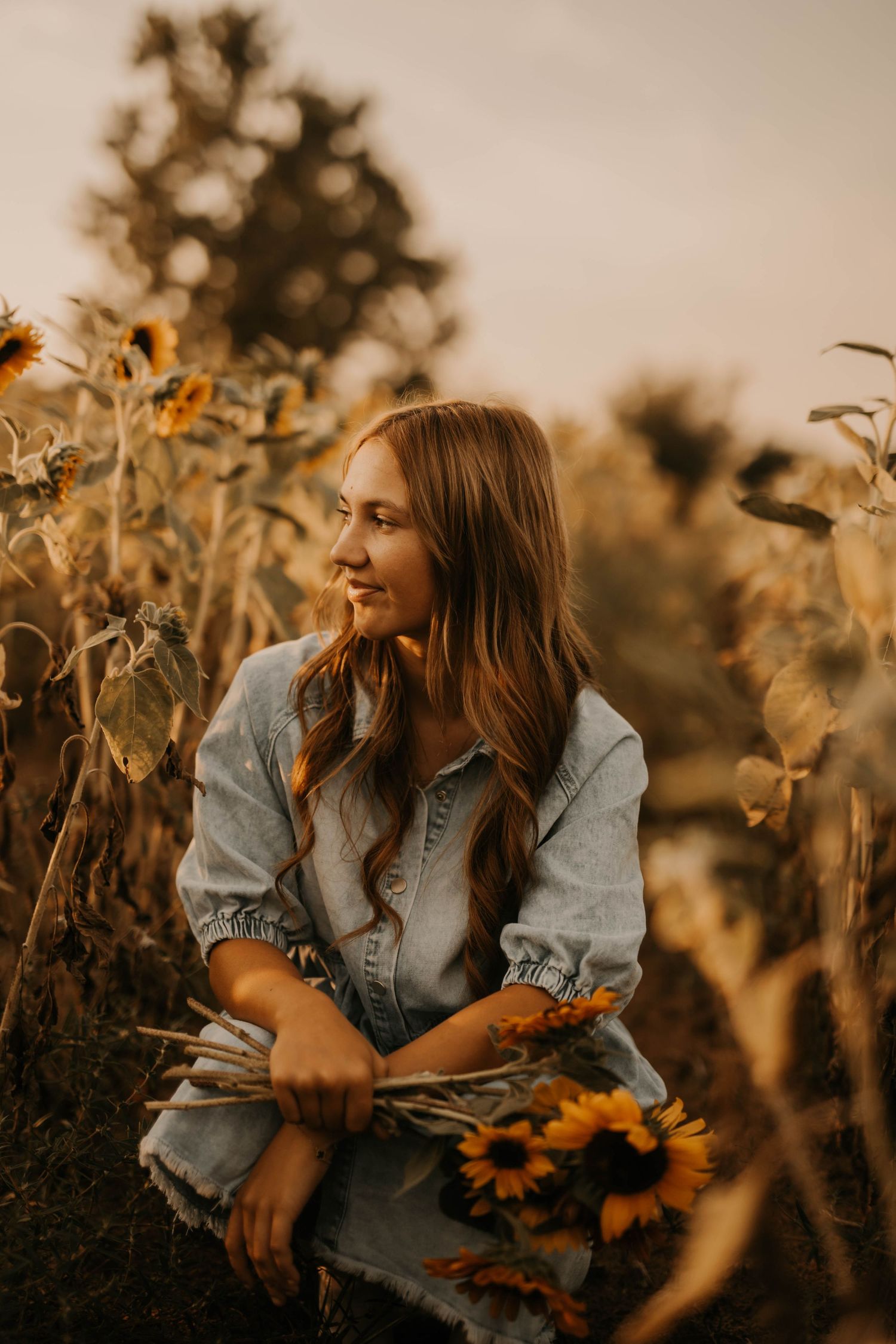 Woman in denim shirt sits among blooming sunflowers during golden hour.
