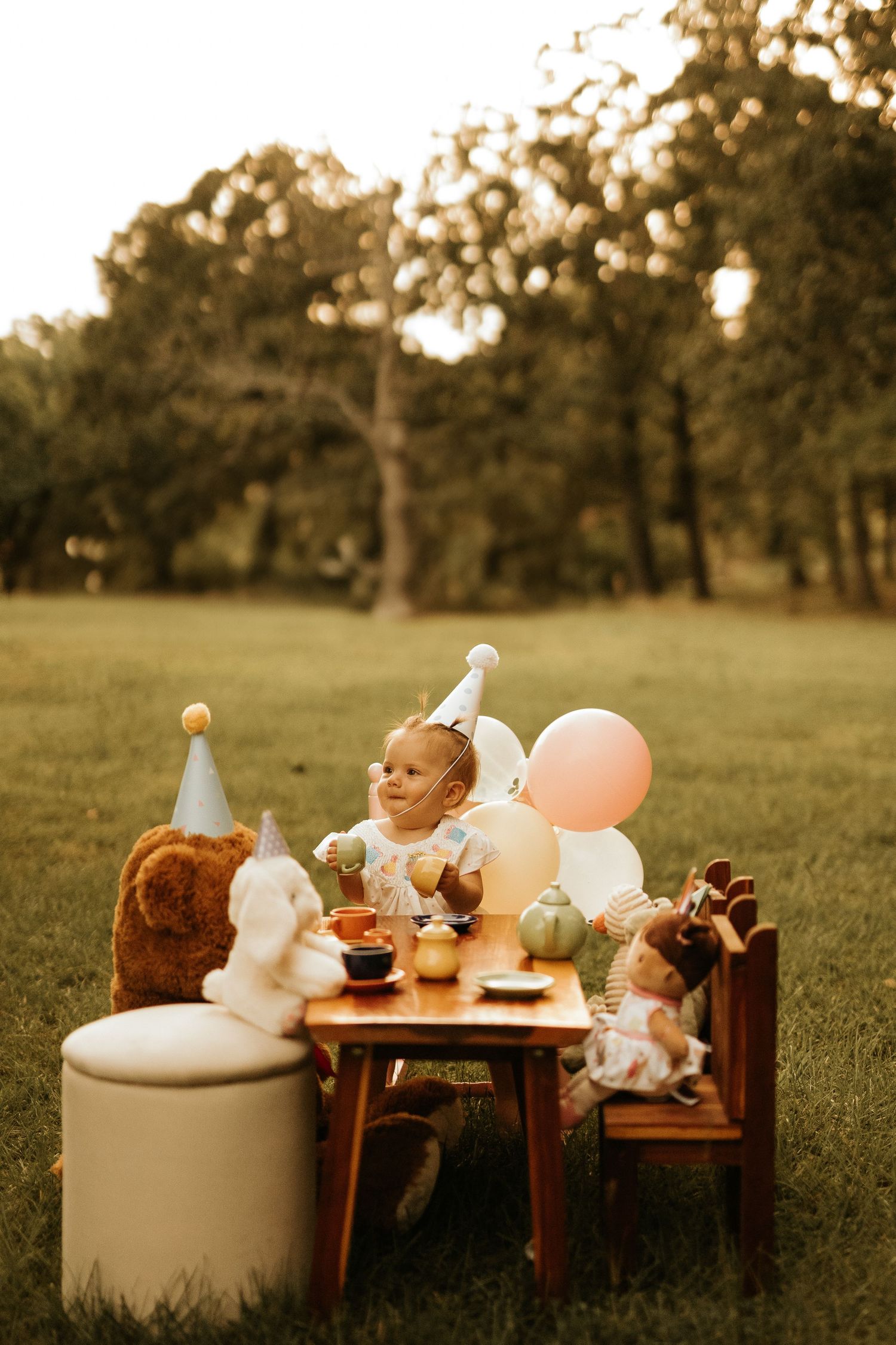 Toddler in party hat celebrates first birthday at outdoor table with stuffed animals, balloons, and treats on green grass.