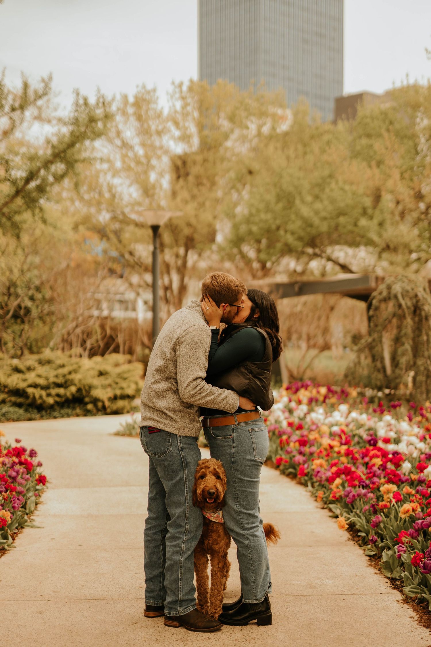 Sweet proposal scene in urban garden with golden retriever watching.