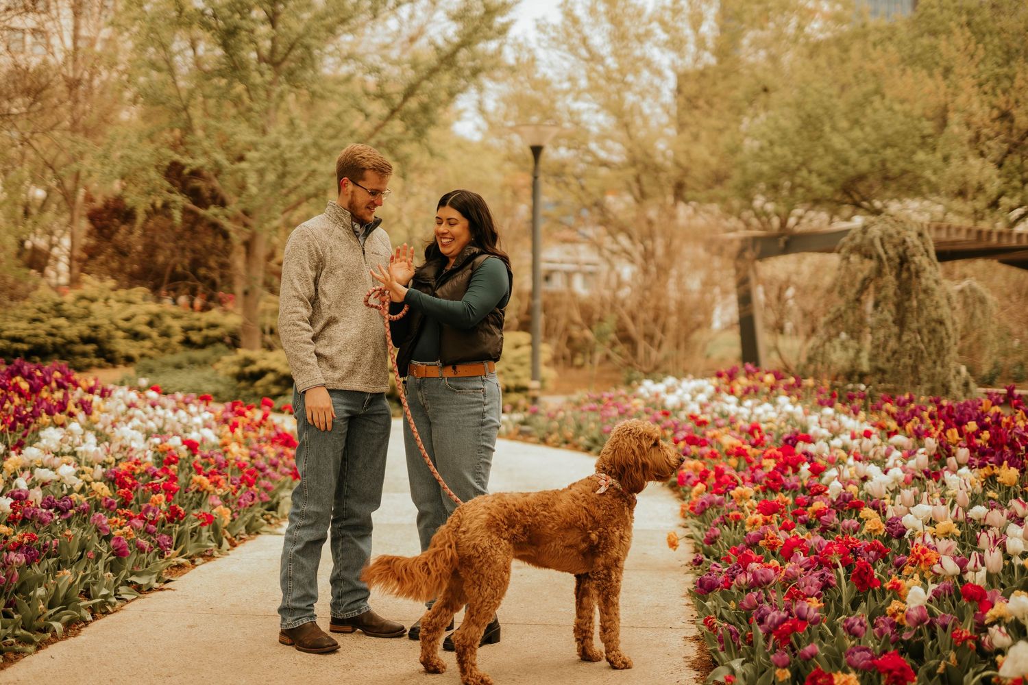 Engagement photos in tulip garden with loyal golden retriever companion.