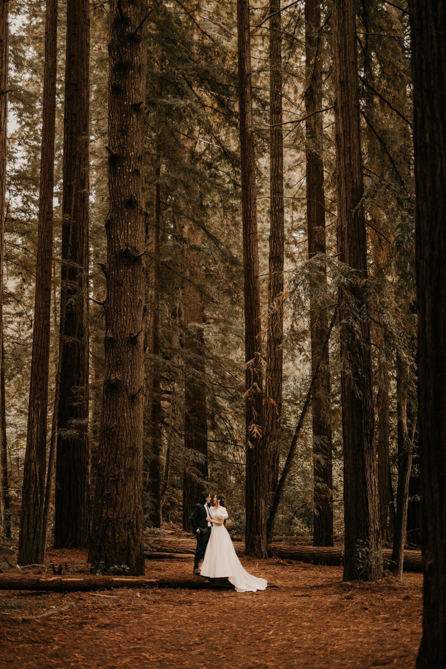 A long white wedding dress flows in a majestic redwood forest setting.