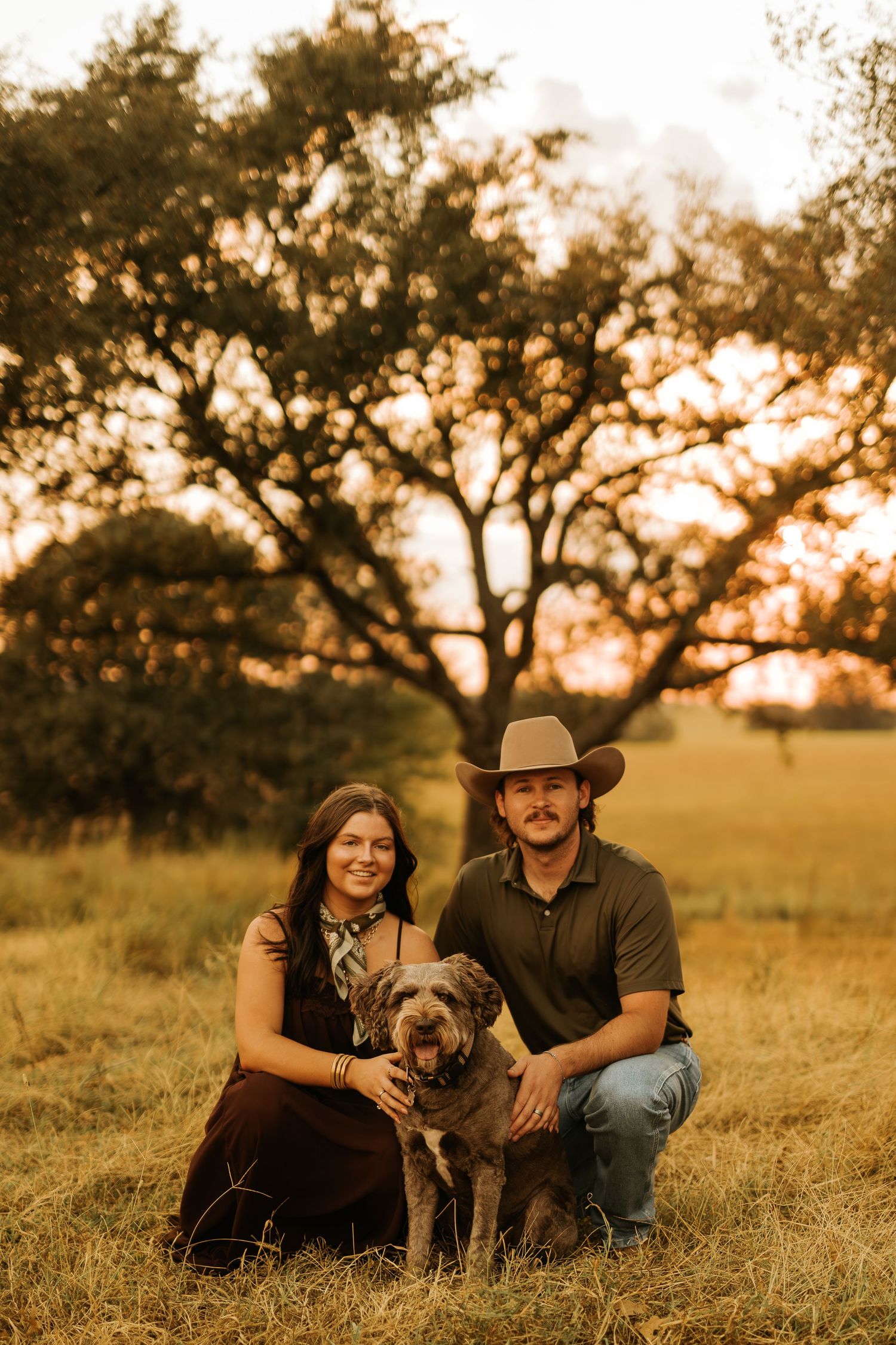 Couple and their dog posing at golden hour in a field with a large oak tree backdrop.