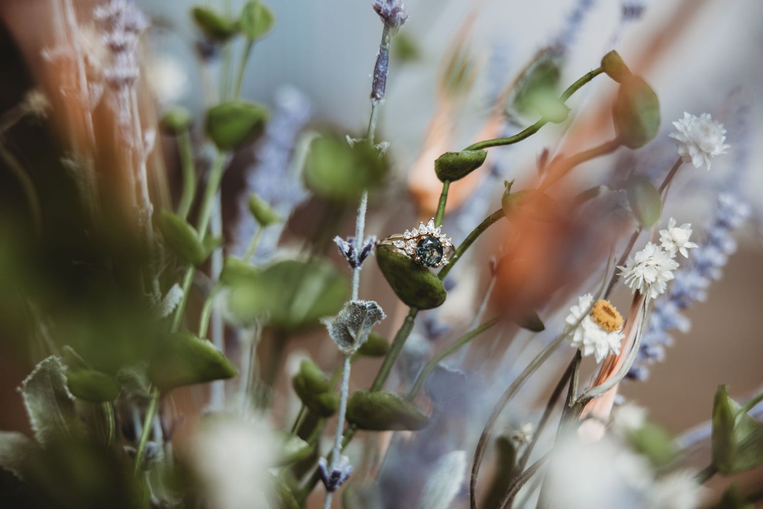 Currie Chiasson Photography