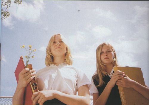 Virgin Suicides