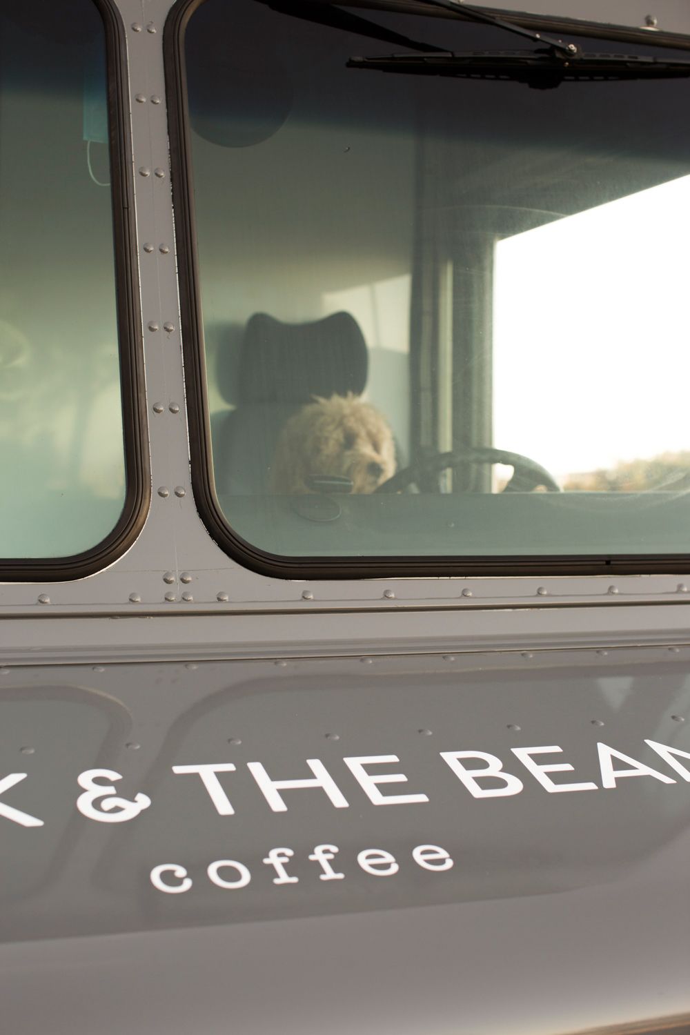 A dog visible through the window of a Jack & The Bean Coffee truck.