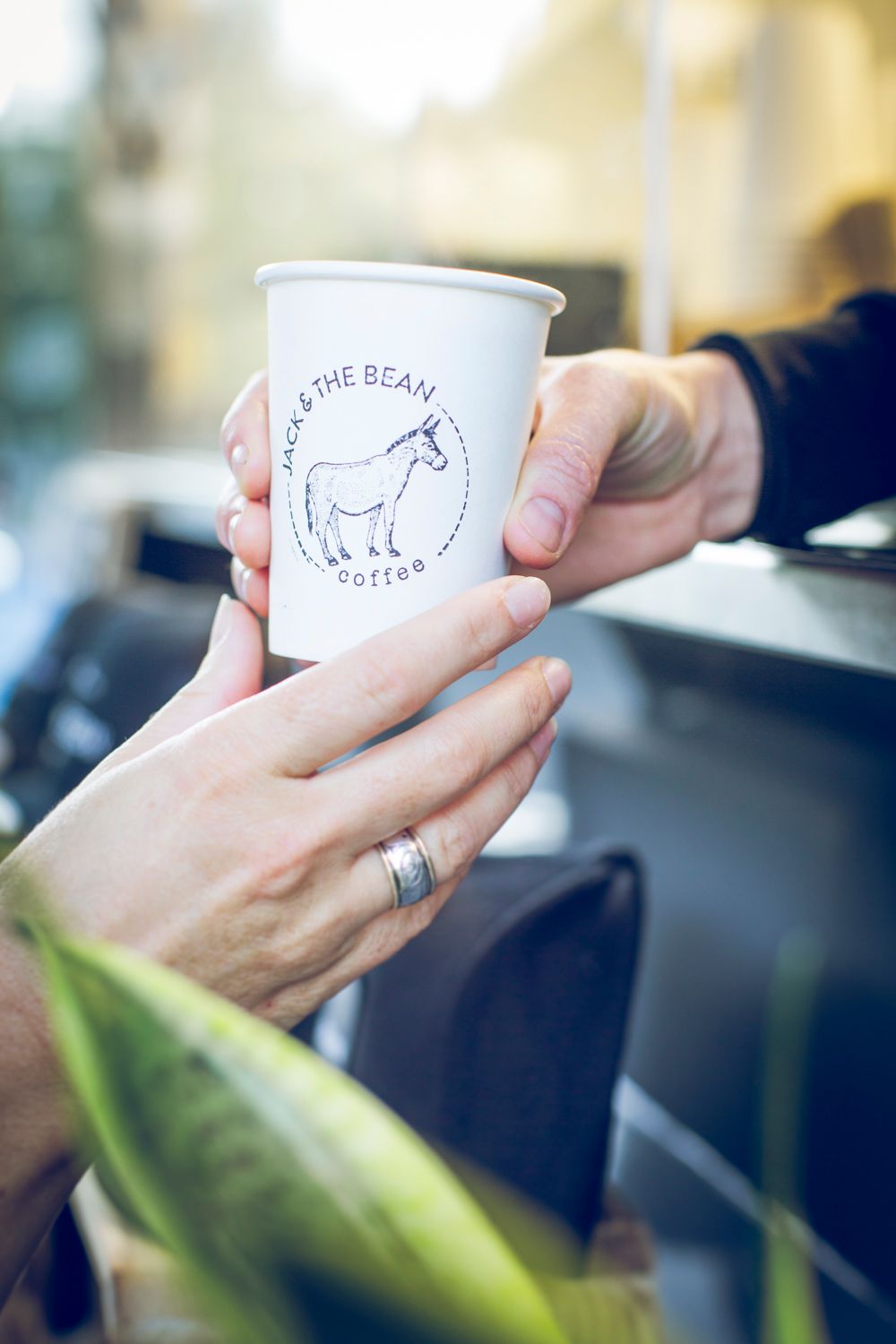 Hand holding a white coffee cup featuring Jack & The Bean's donkey logo design.