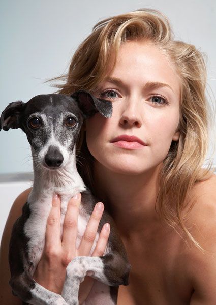 Portrait with small black and white dog against light background.