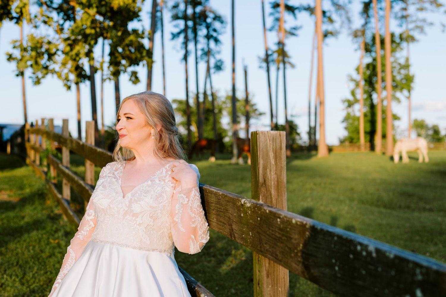 A couple shares a romantic moment in a sun-drenched pine forest during a golden hour photo session.