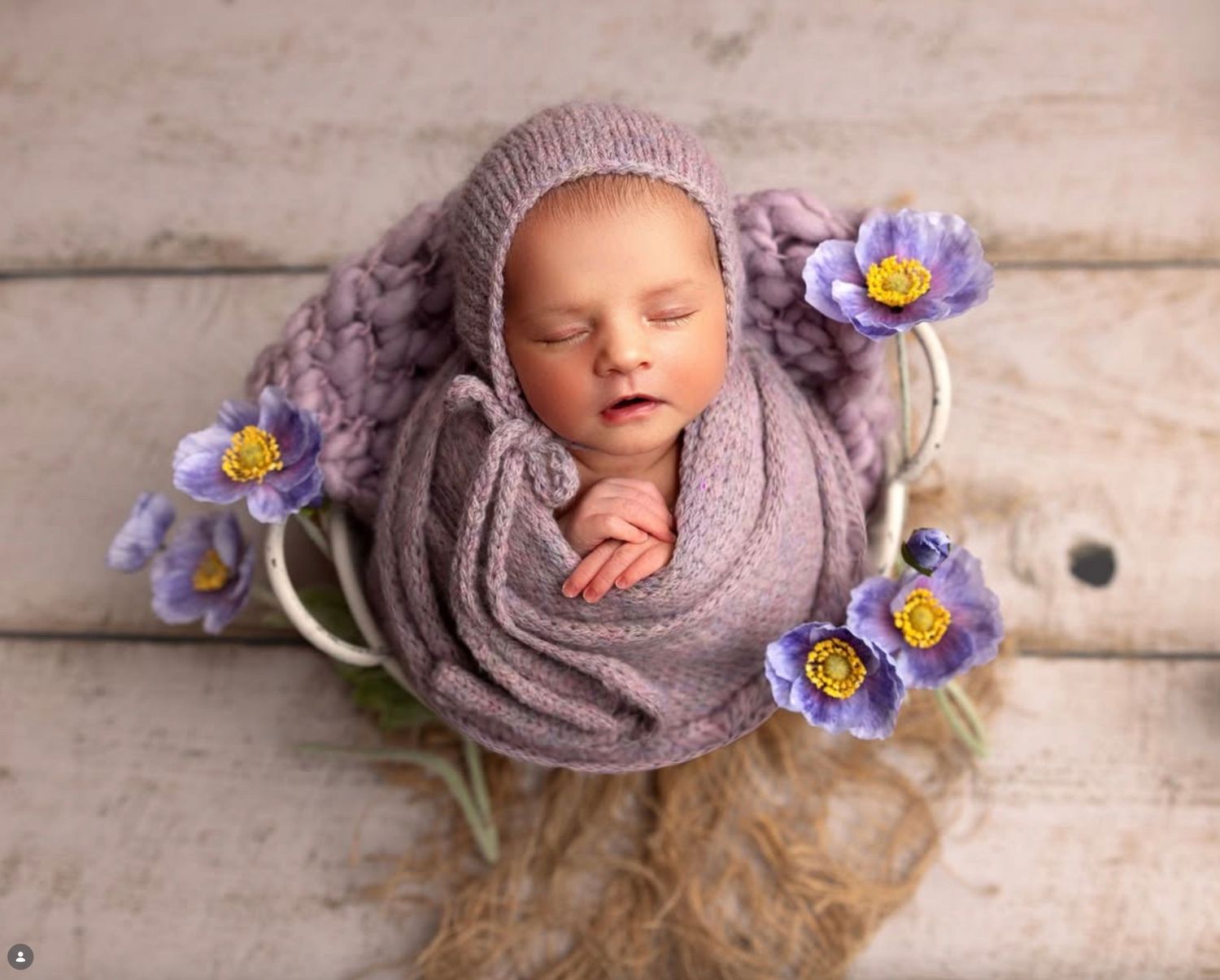 A newborn baby wrapped in purple knit fabric lies on rustic wood with delicate purple flowers as decorative accents.