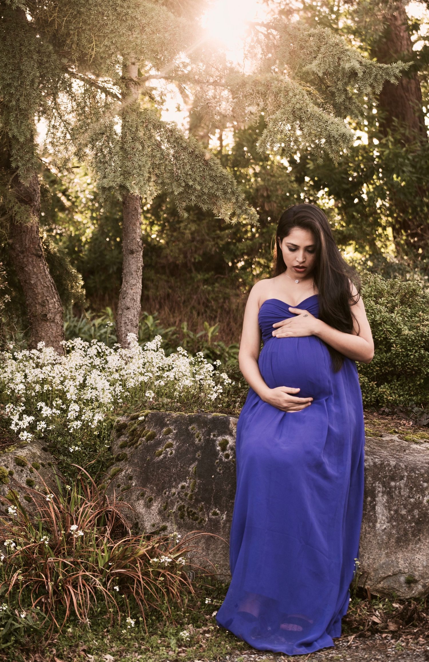 A pregnant woman in a flowing royal blue gown stands in a garden setting with sunlit trees and white flowers in the background.