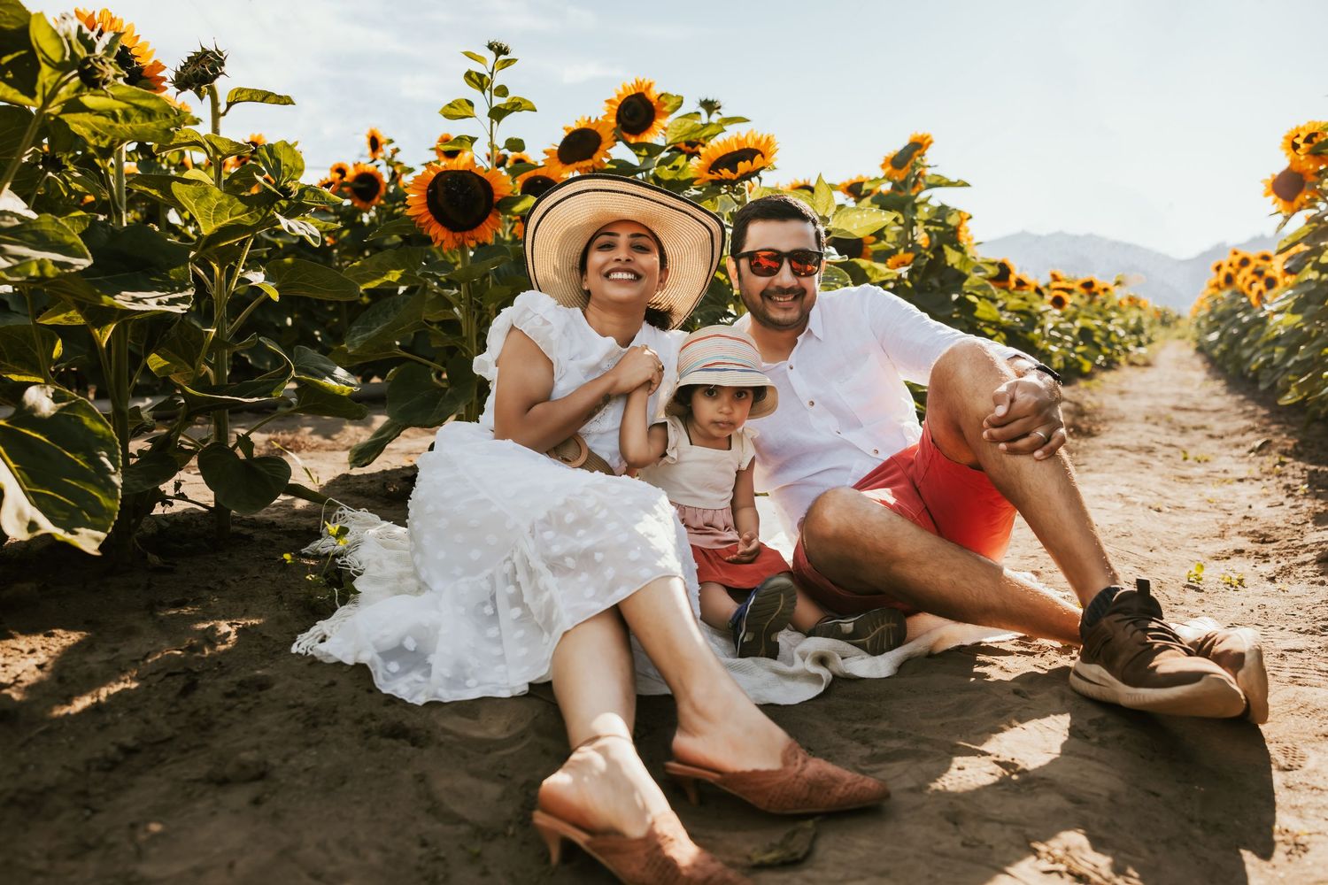 Couple sitting in a sunflower field at sunset during a romantic photoshoot.