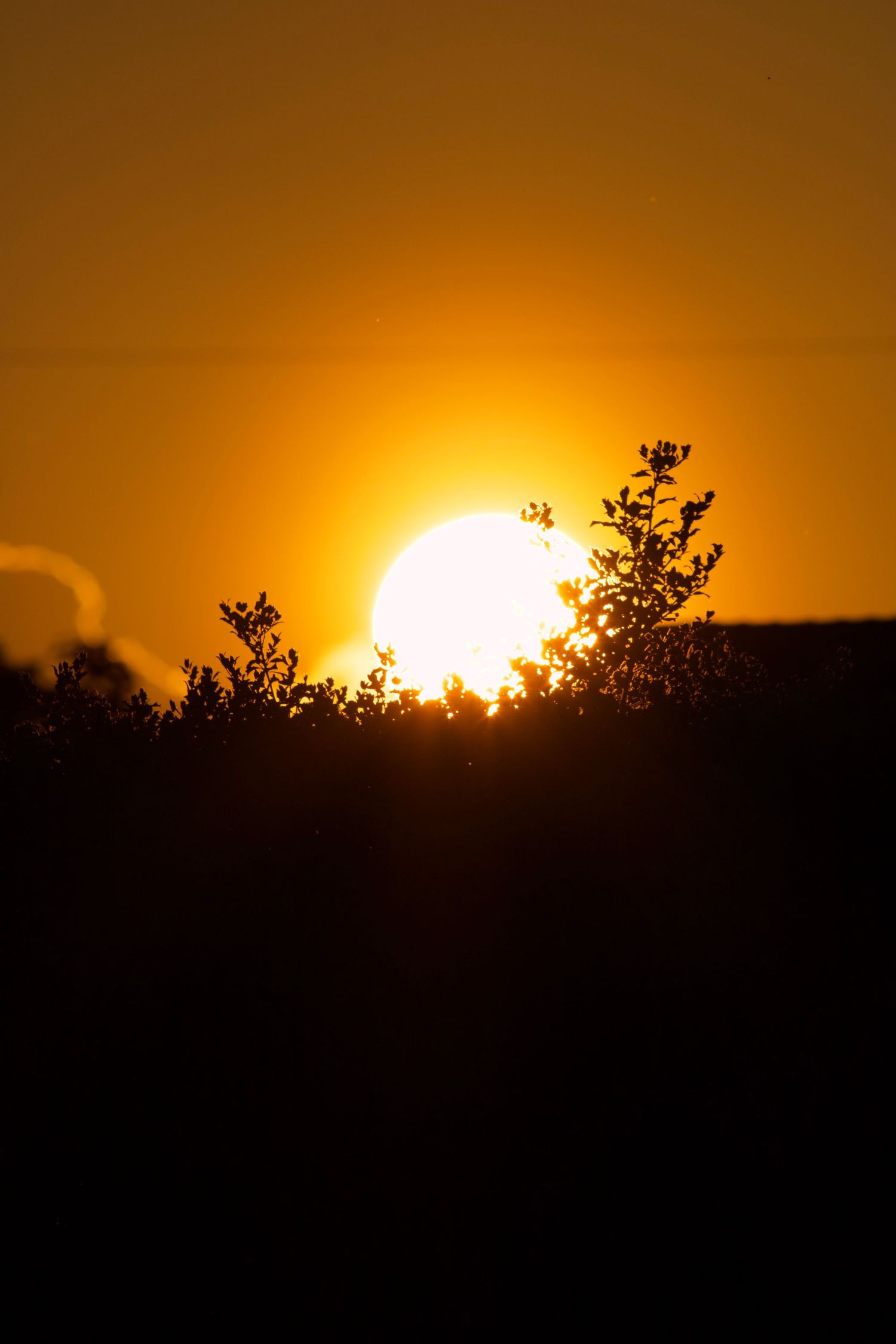 Sunset.2