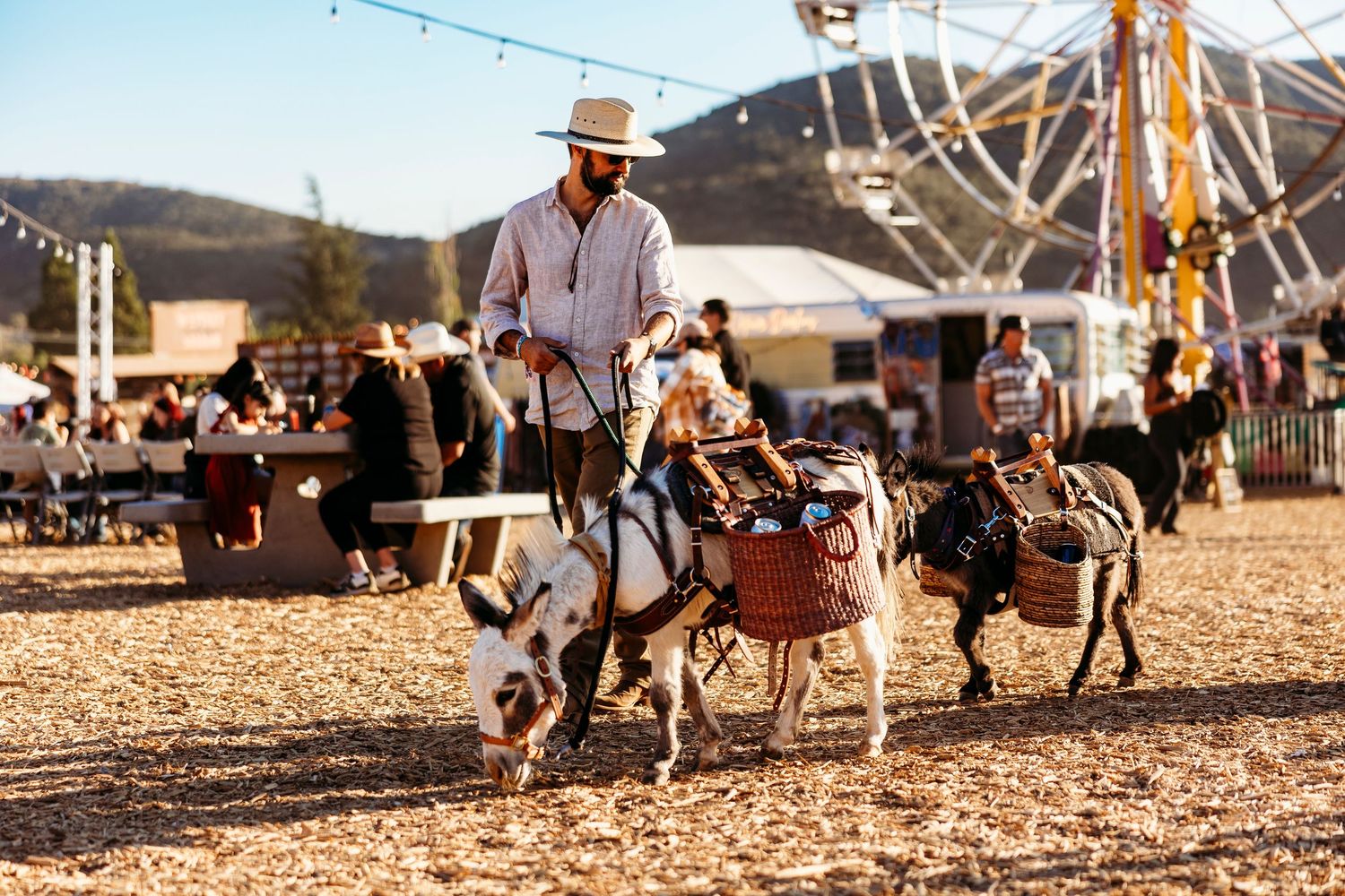 A person leads miniature donkeys past carnival rides at a country fair.